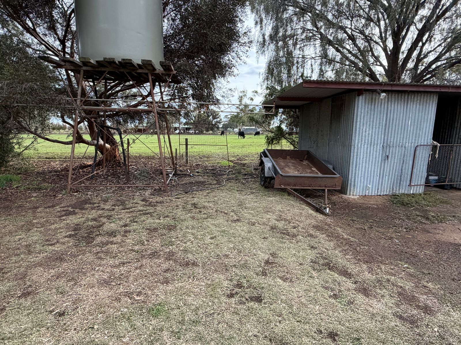 6230 Wakool Road, Wakool NSW 2710, Wakool - Thumbnail 4