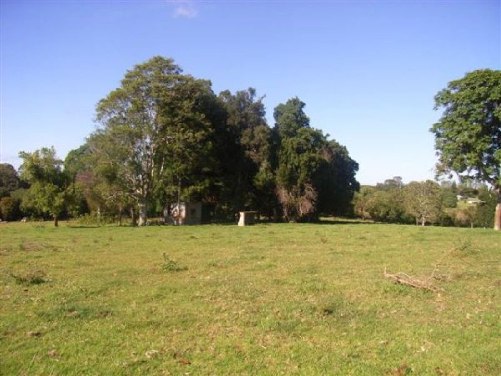 Dunoon NSW 2480, Dunoon - Thumbnail 6