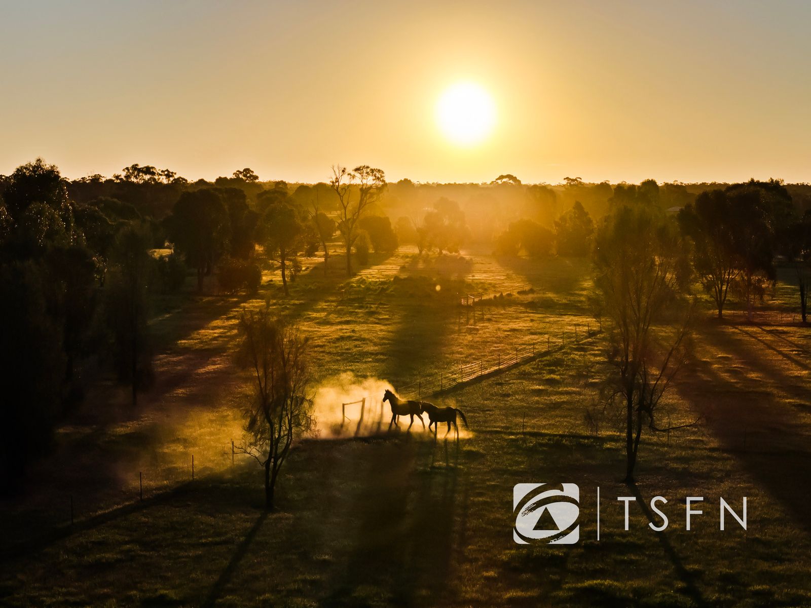 63 Lemon Avenue, Mildura, Mildura - Thumbnail 4