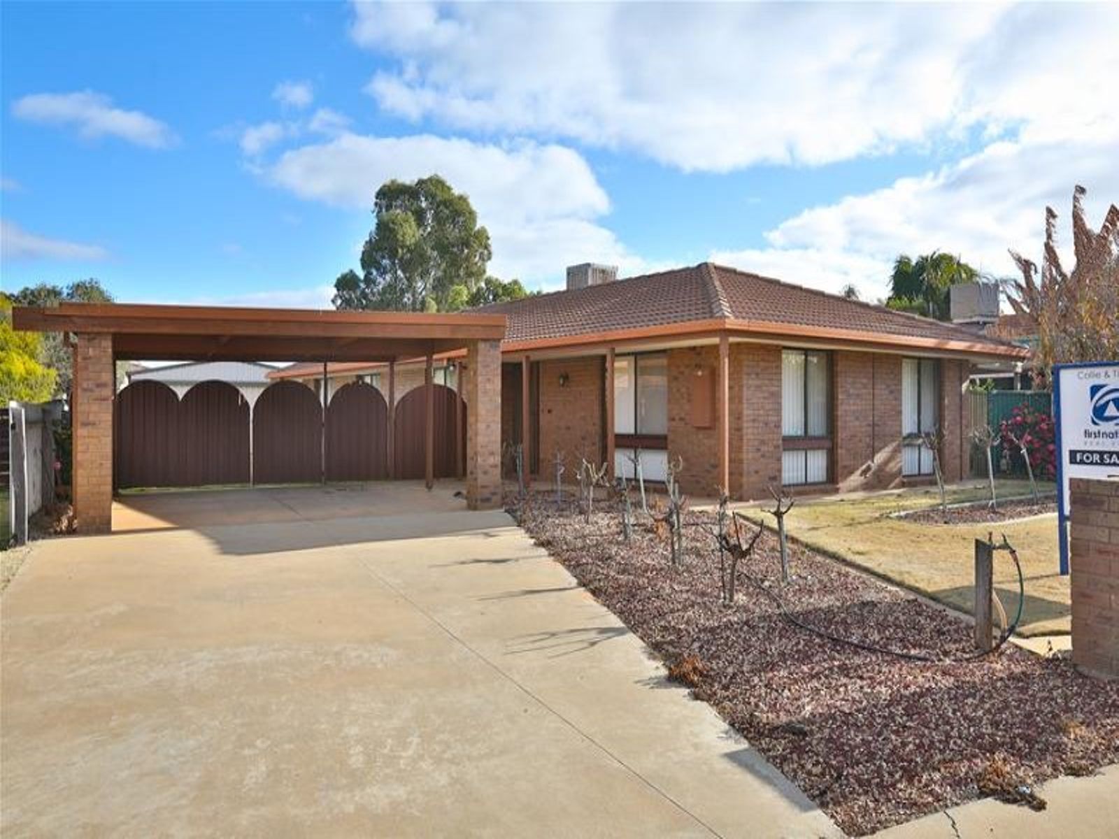 9 Johnson Drive, Irymple - Image 1