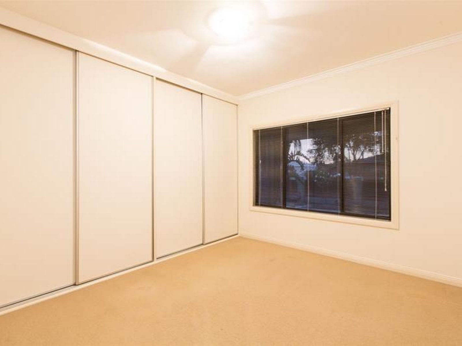 8 Tatra Avenue, Mildura - Thumbnail 7