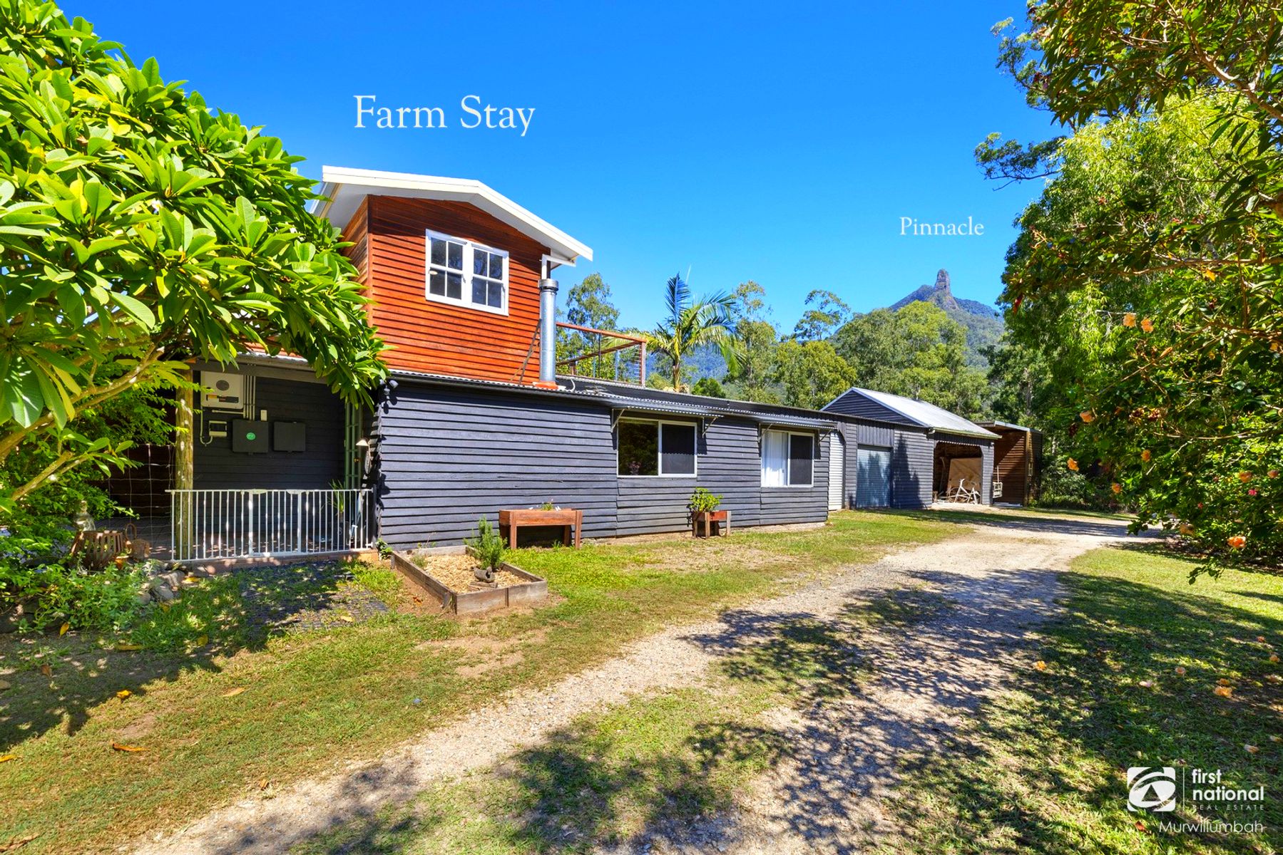 477 Pinnacle Road, Pumpenbil NSW 2484, Pumpenbil - Thumbnail 7