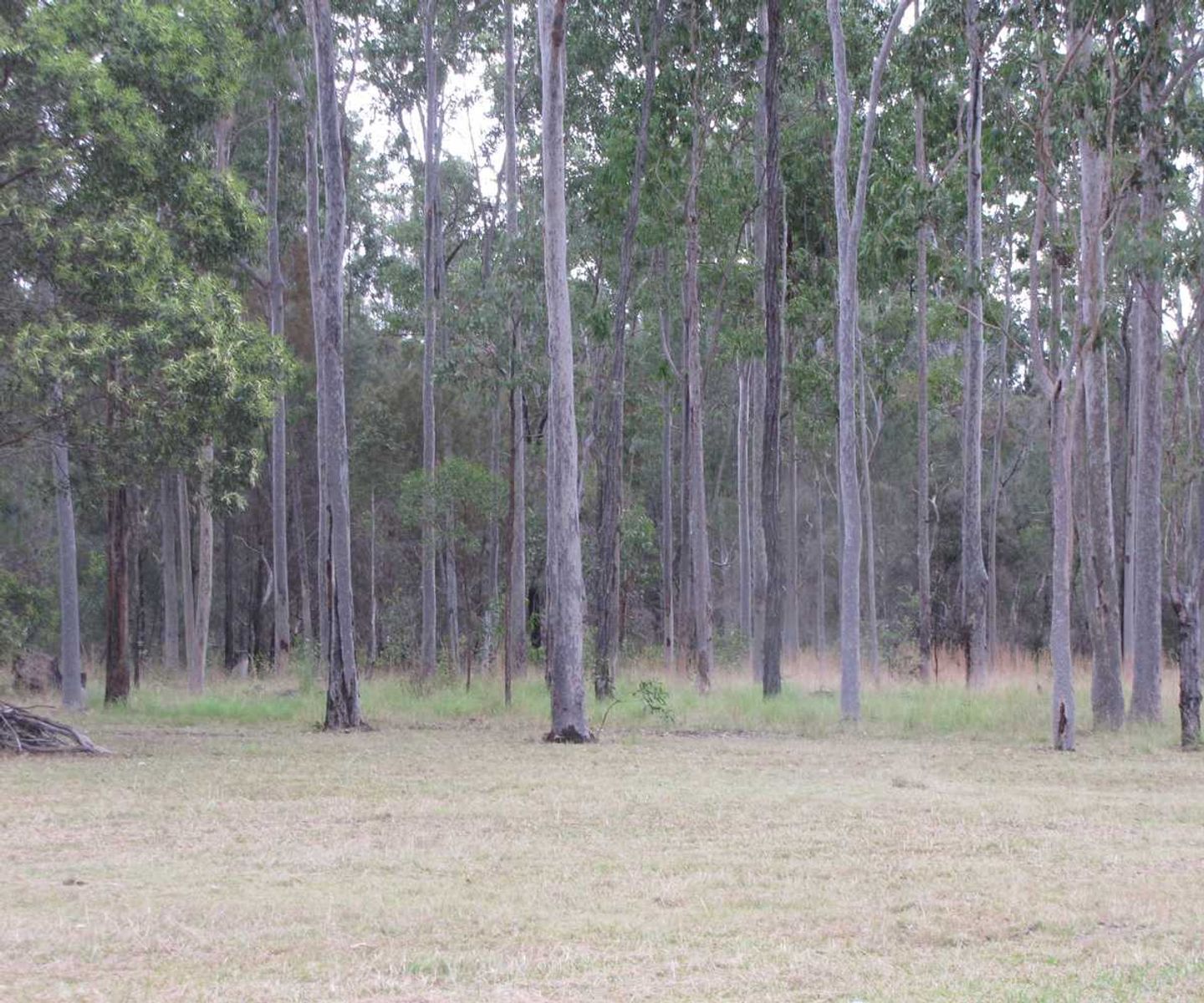 1684 Old Tenterfield Rd, Kippenduff - Thumbnail 6