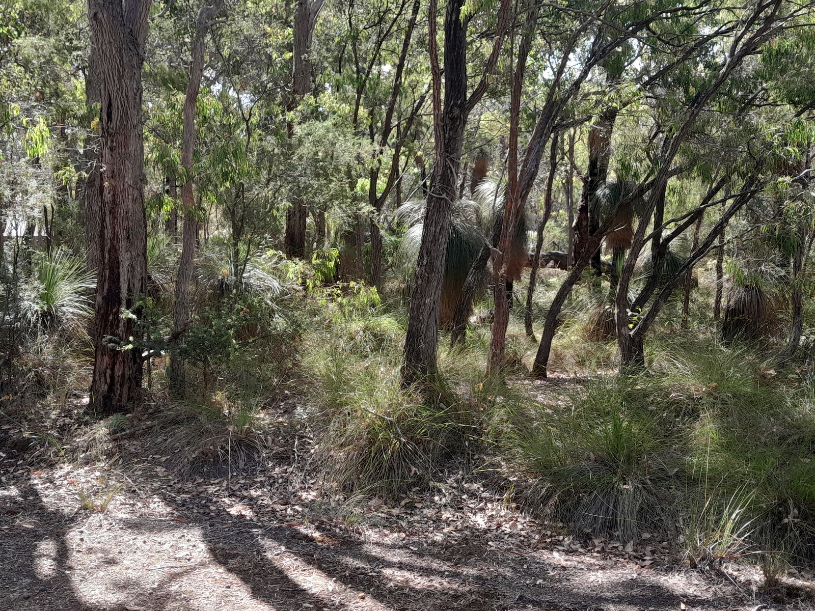 59 Dalton Way, Molloy Island WA 6290, Molloy Island - Thumbnail 3
