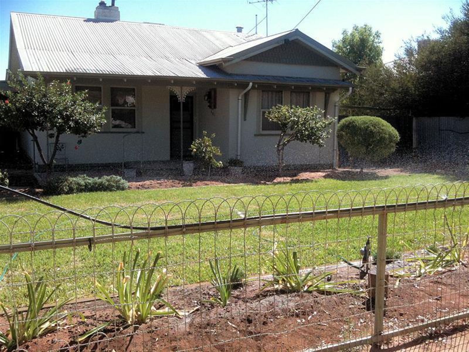 47 Box Street, Merbein - Thumbnail 5