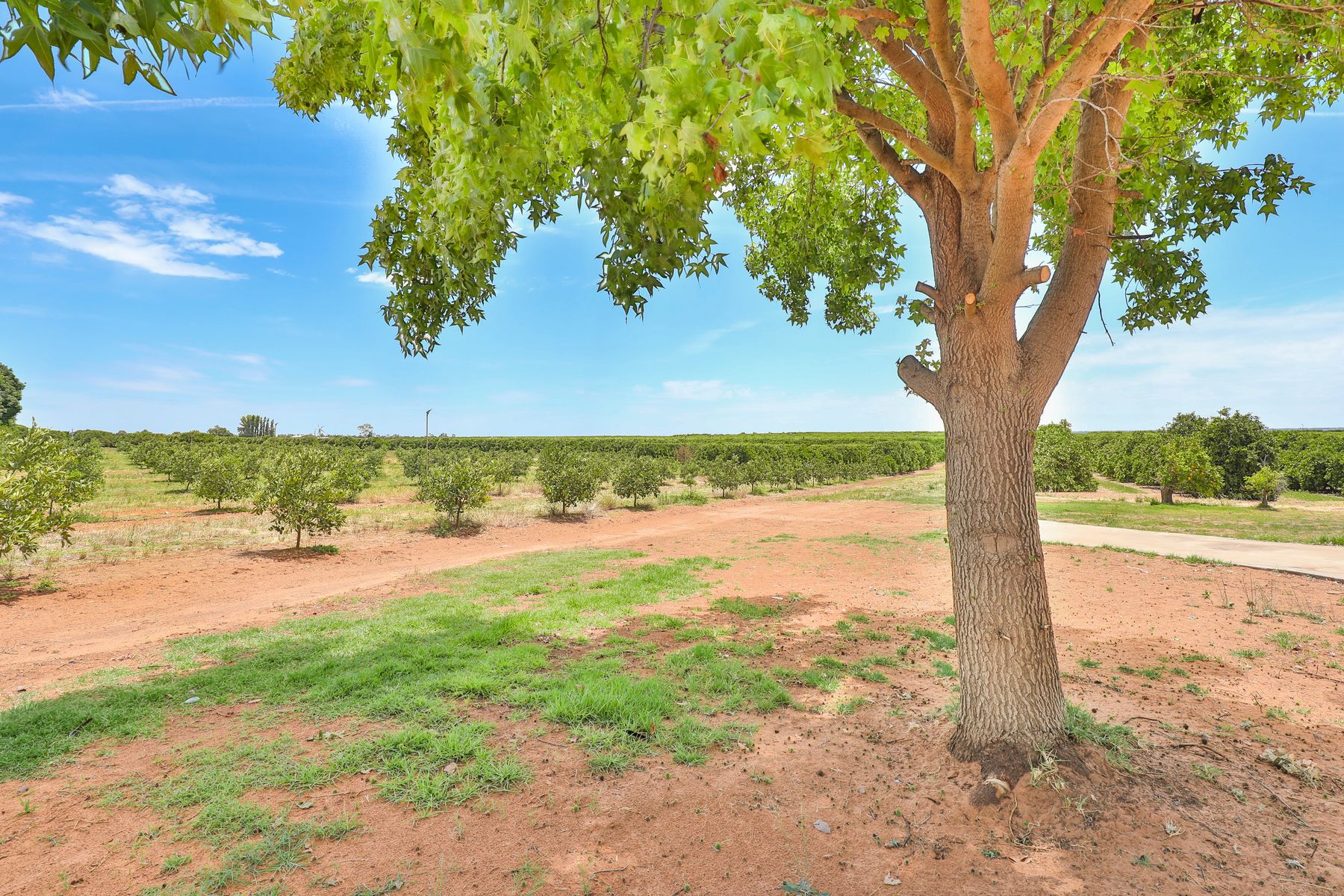 21 Mourquong Road, Mourquong - Thumbnail 2