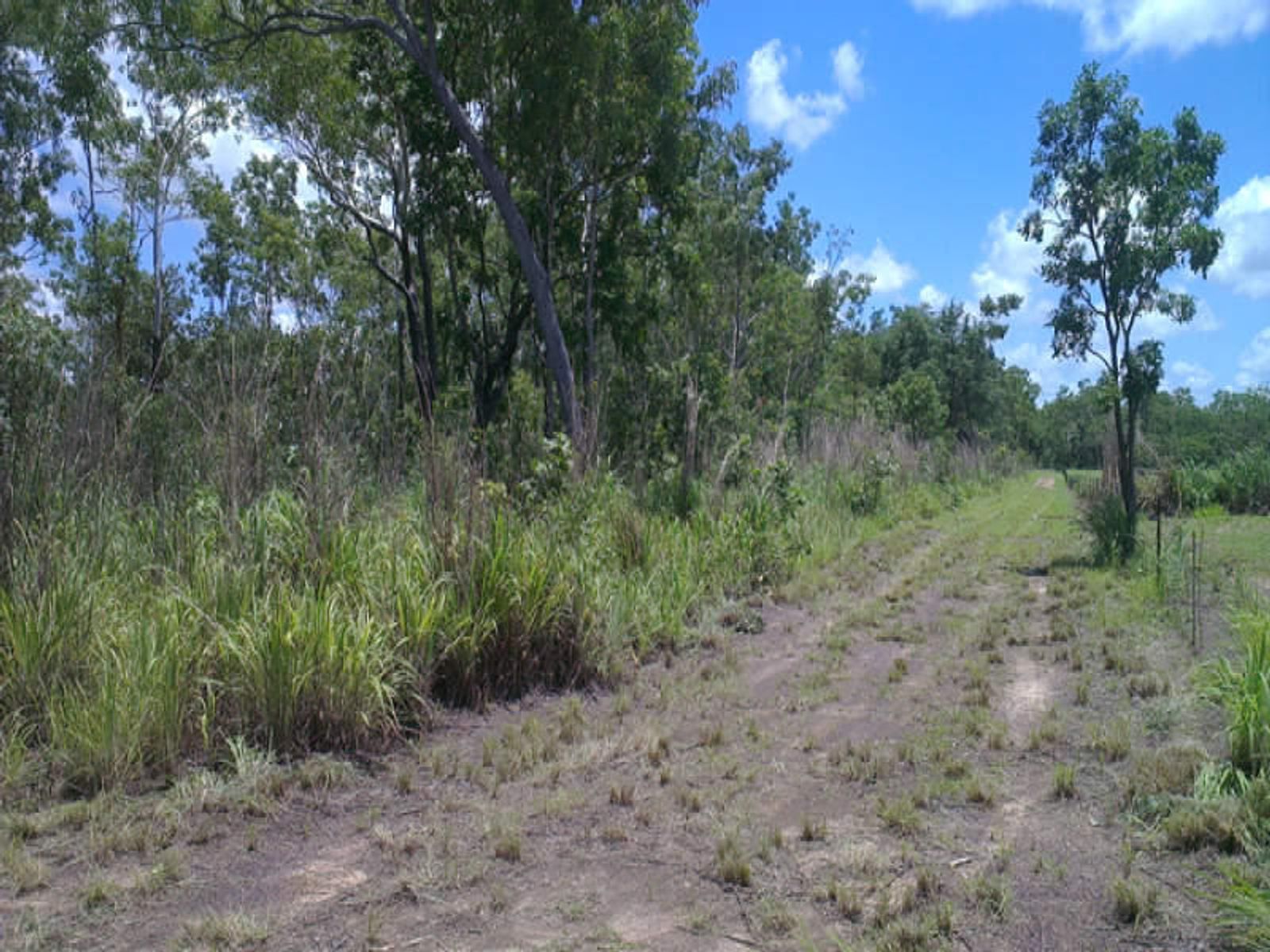 131 Beddington Road, Herbert NT 0836, Herbert - Thumbnail 2