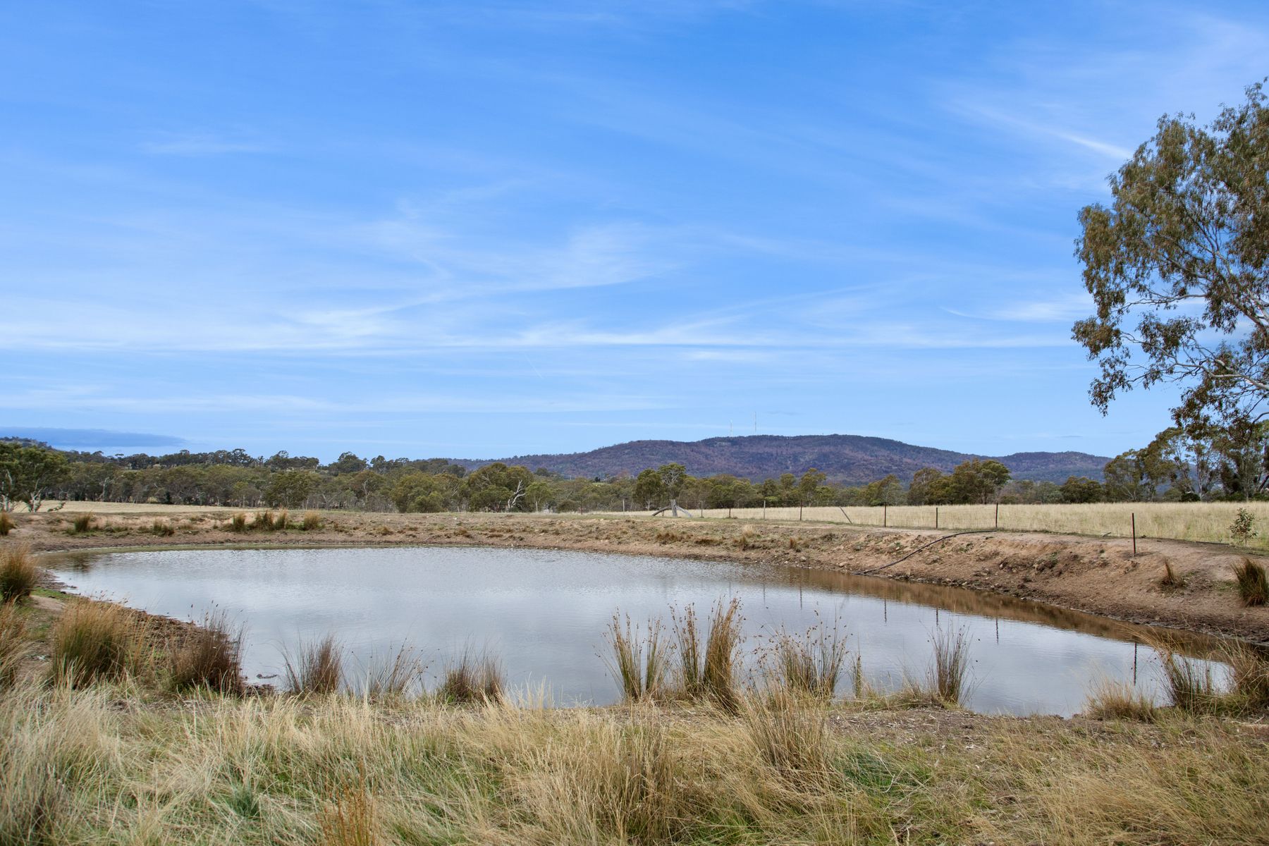4 Franklings Road, Harcourt North VIC 3453, Harcourt North - Thumbnail 4