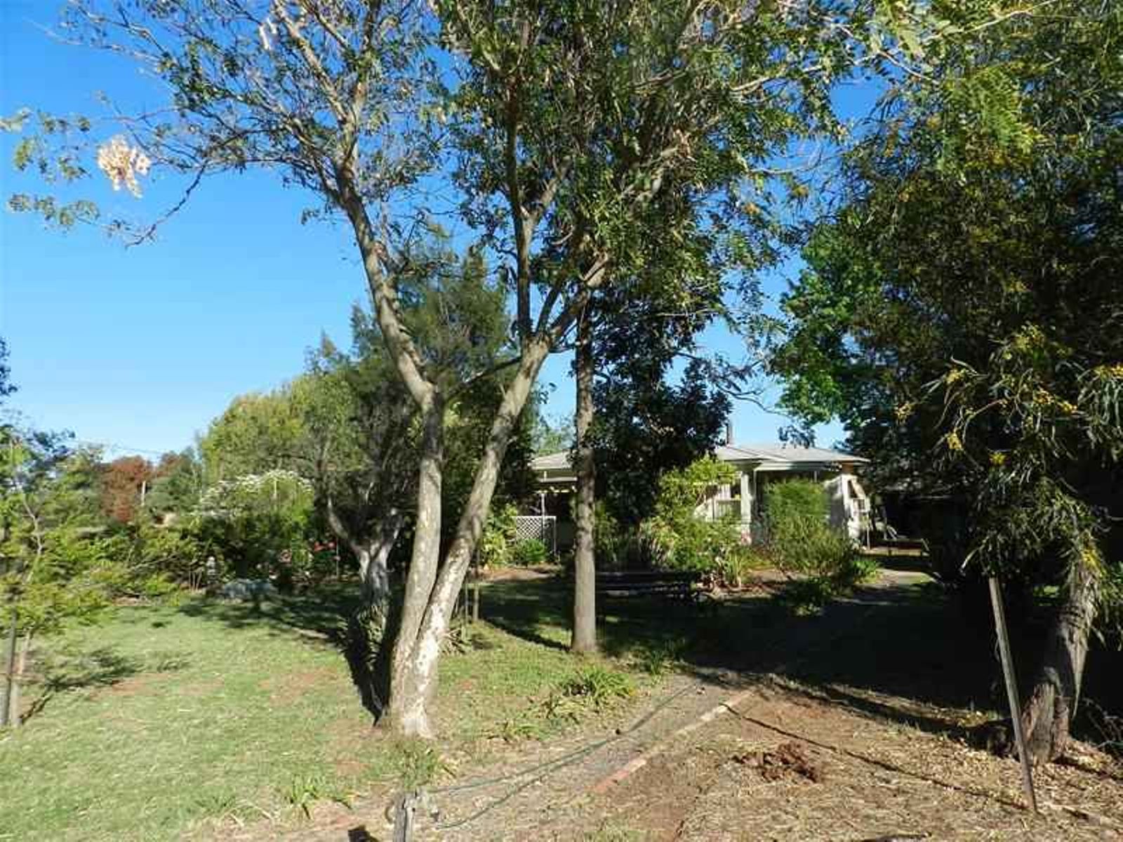 278 Morpung Avenue, Irymple - Thumbnail 7