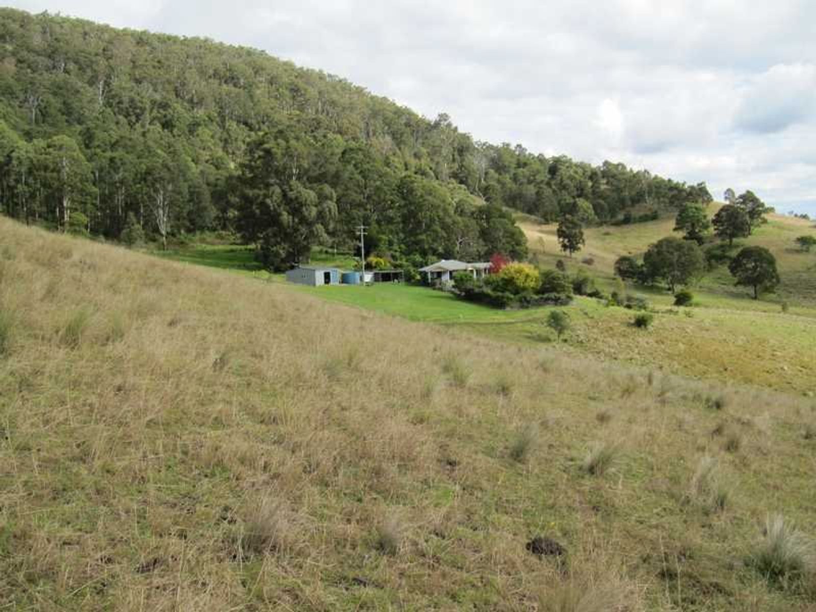 Legume NSW 2476, Legume - Thumbnail 8