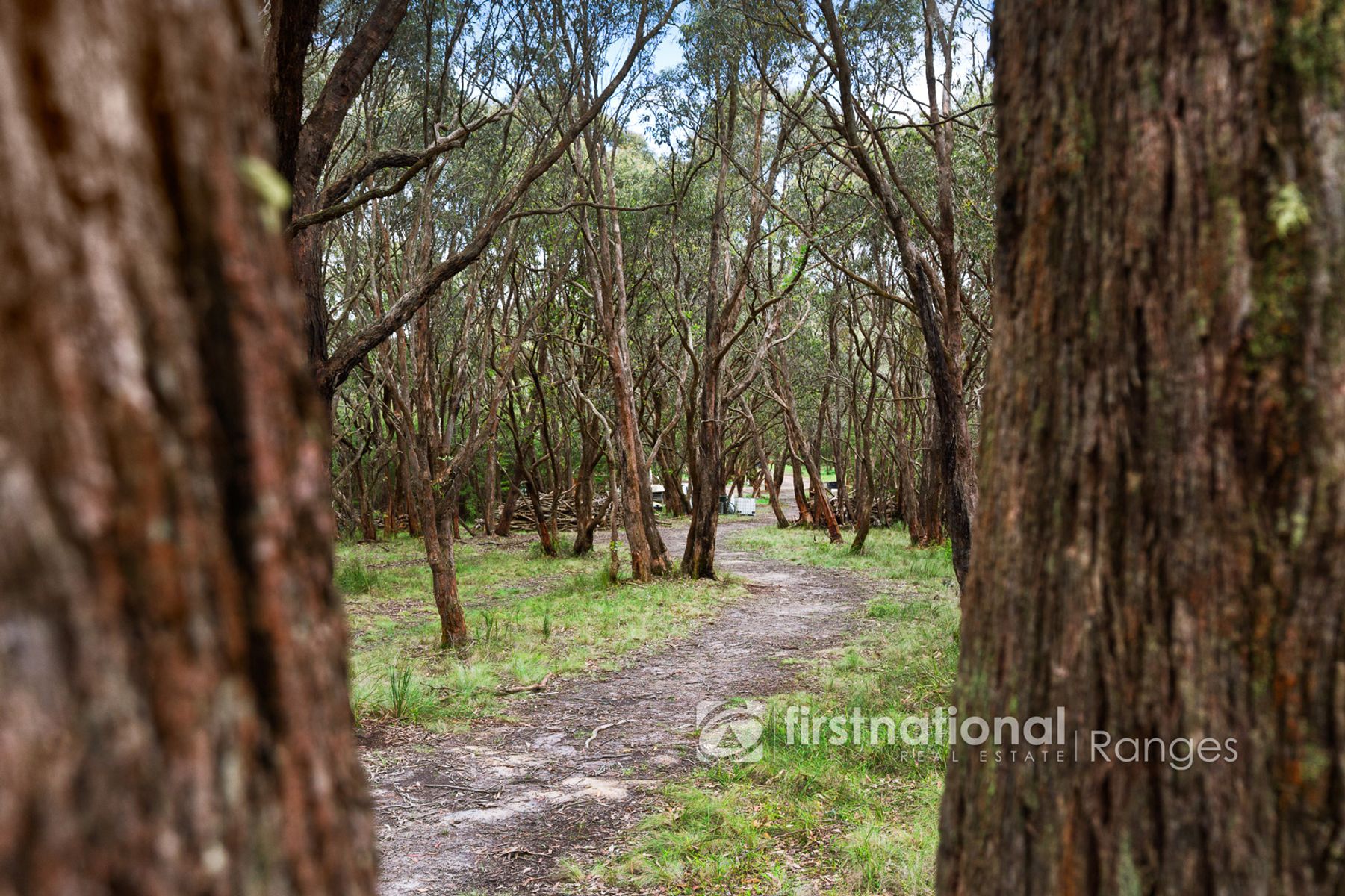 50 Bedford Road, Cockatoo VIC 3781, Cockatoo - Thumbnail 6