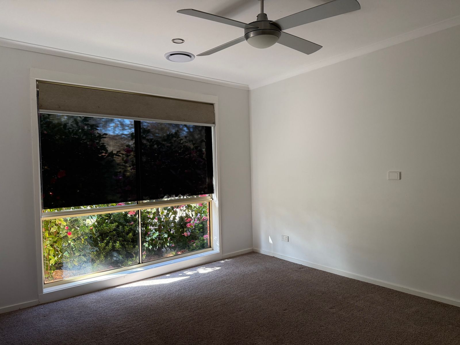 28 Gavan Street, Bright VIC 3741, Bright - Thumbnail 6