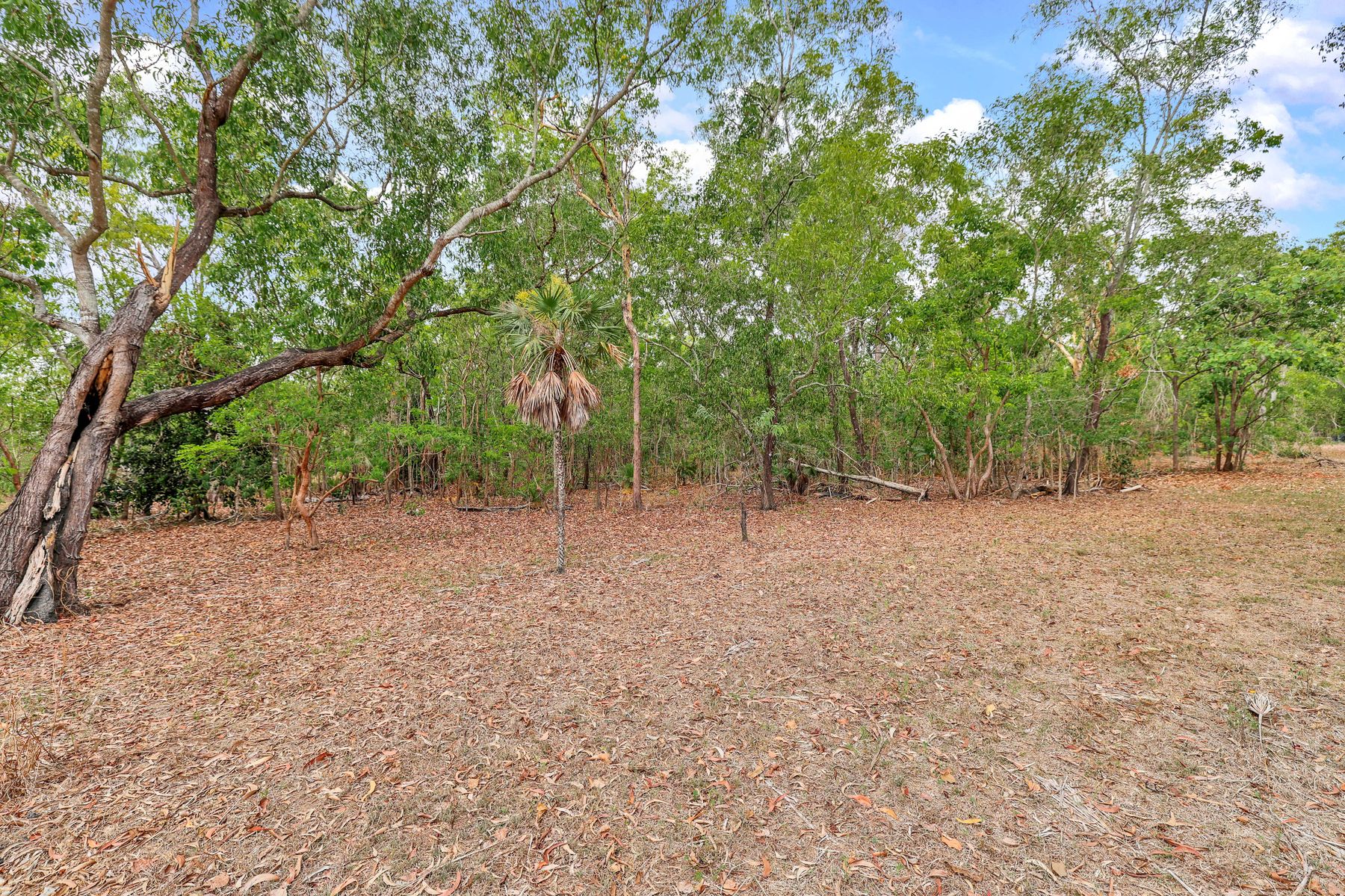 110 Edelsten Road, Howard Springs NT 0835, Howard Springs - Thumbnail 5