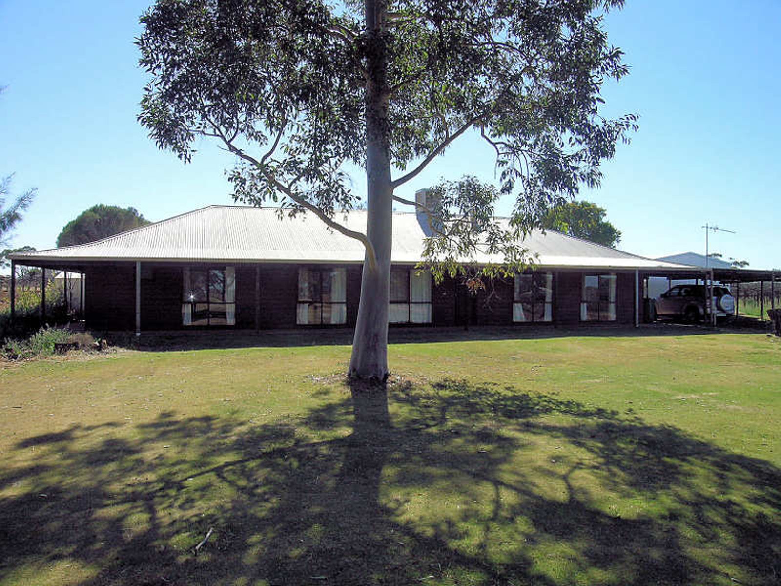 396 Doogan Road, Dareton - Image 1