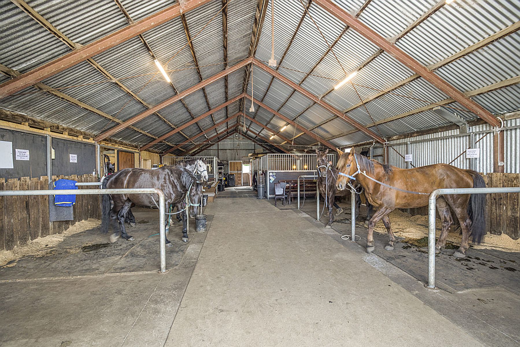 3500 Ballarto Road, Bayles, Bayles - Thumbnail 3