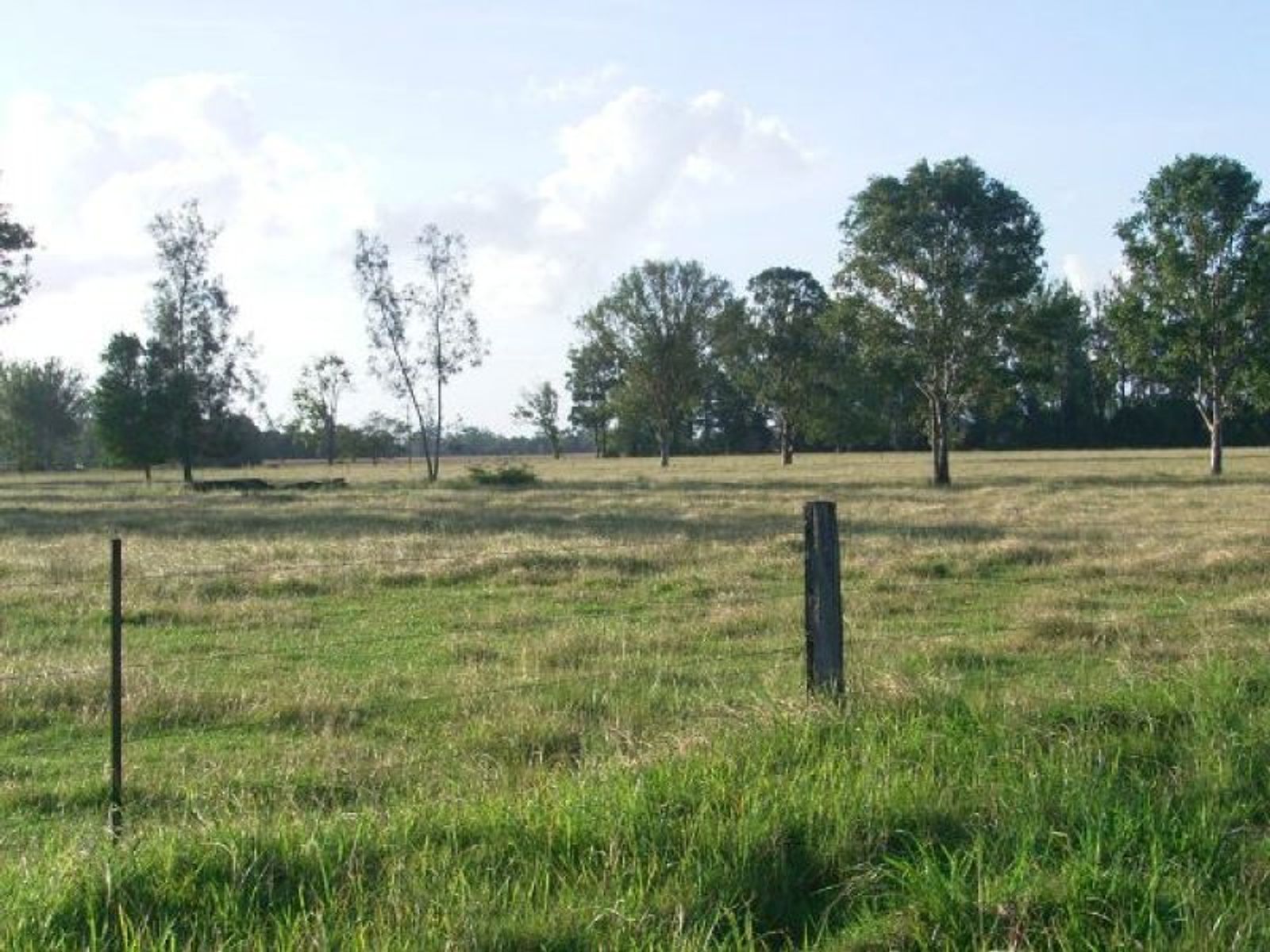 Tatham NSW 2471, Tatham - Thumbnail 7