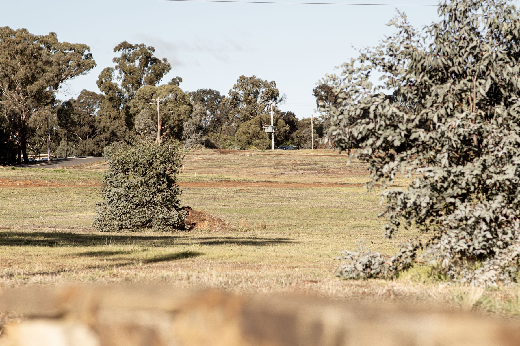 13 Tennyson Street, Quarry Hill, VIC 3550, Quarry Hill - Thumbnail 3