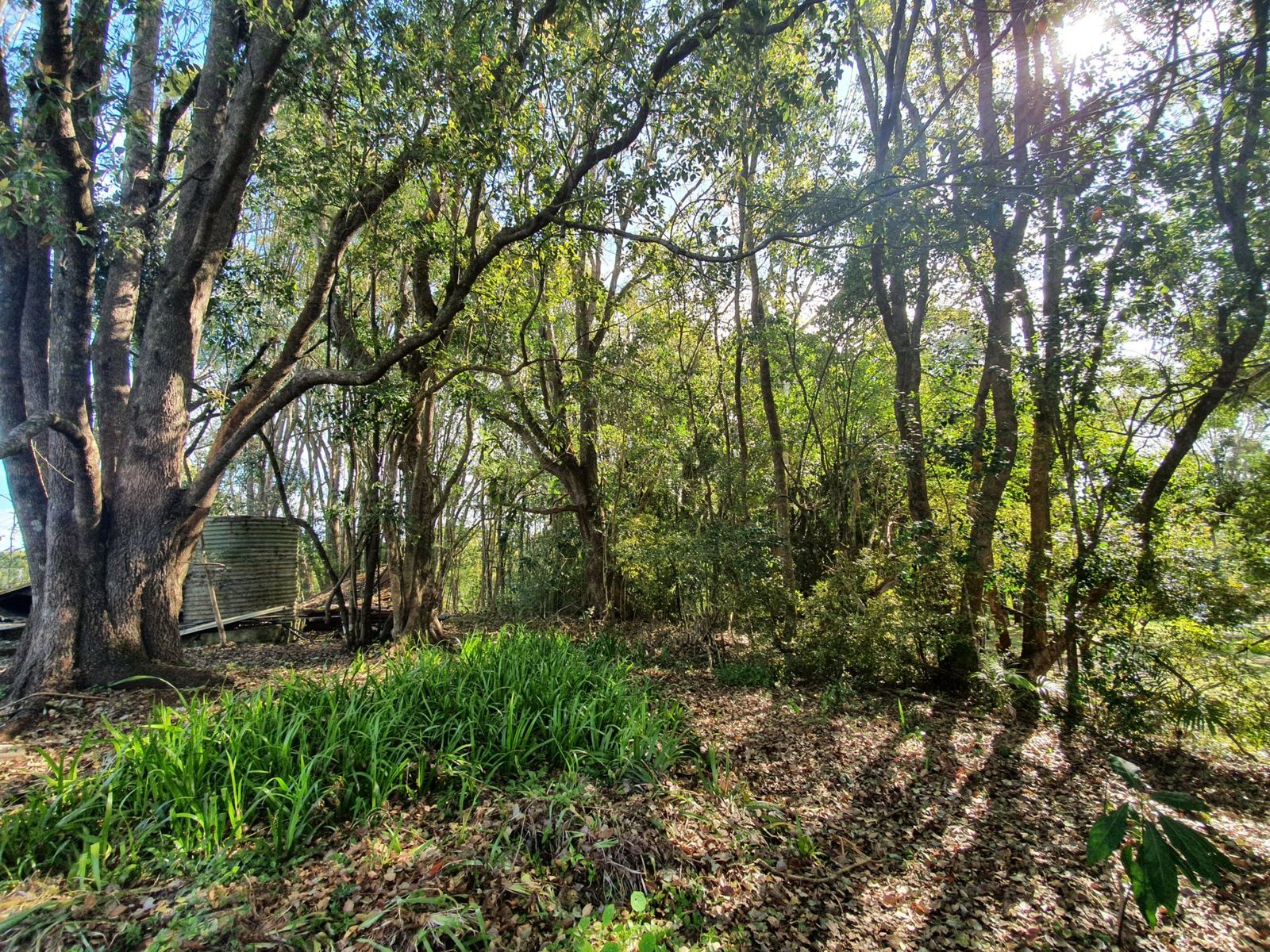 Lot 1 Booyong Rd, Booyong - Thumbnail 7