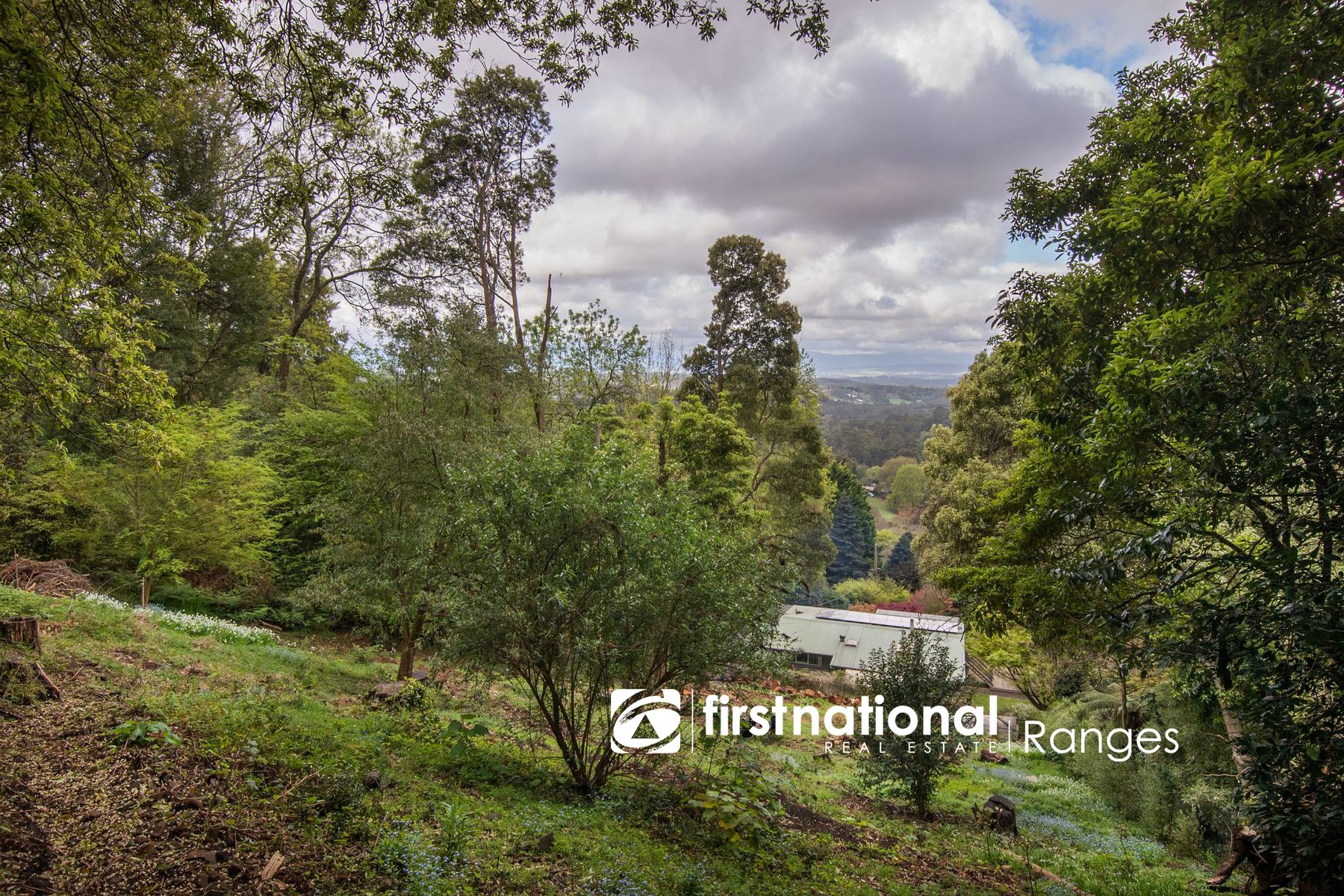 13 Dalmonte Grove, Kallista VIC 3791, Kallista - Thumbnail 8