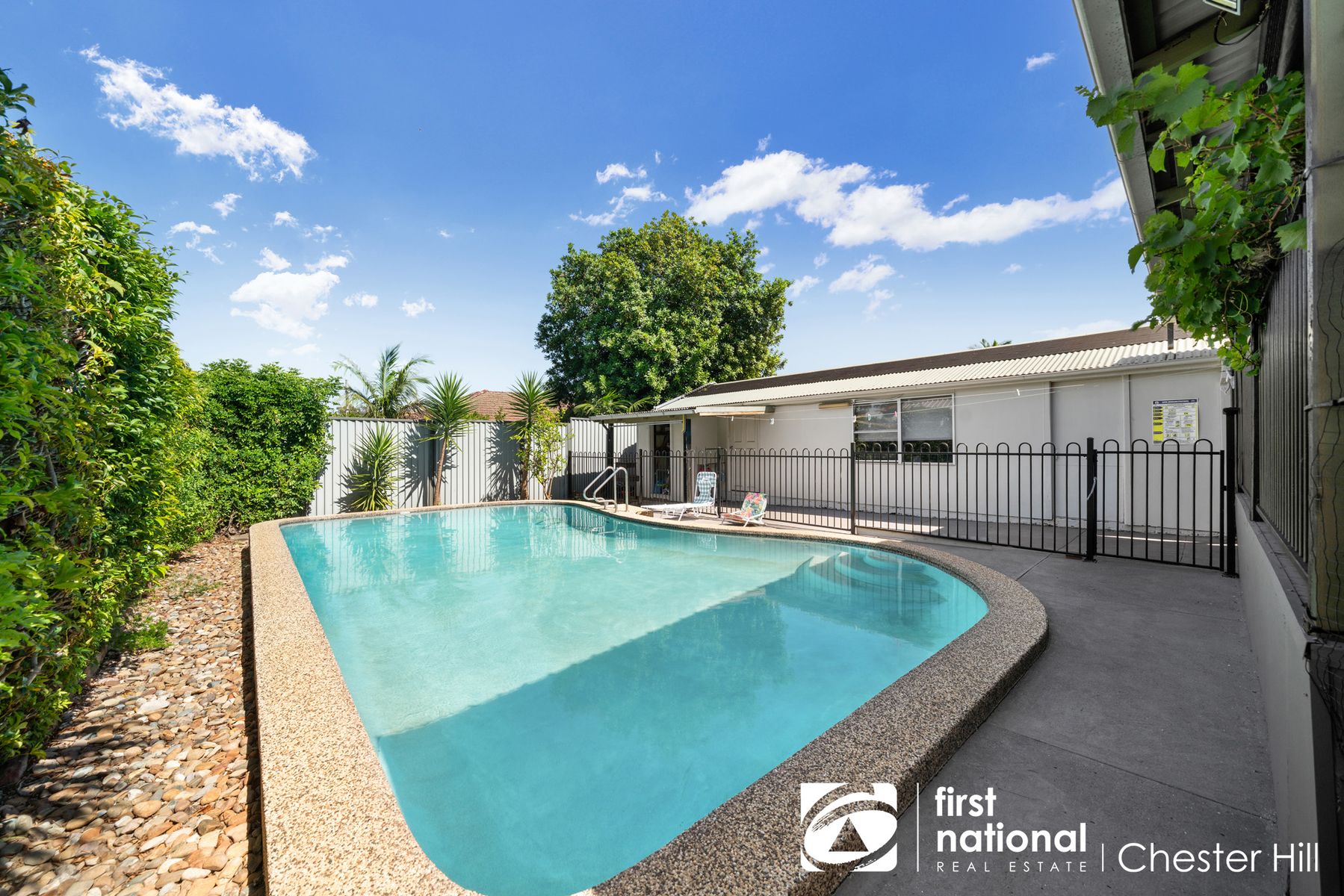252 Hector Street, Chester Hill, NSW 2162, Chester Hill - Thumbnail 4