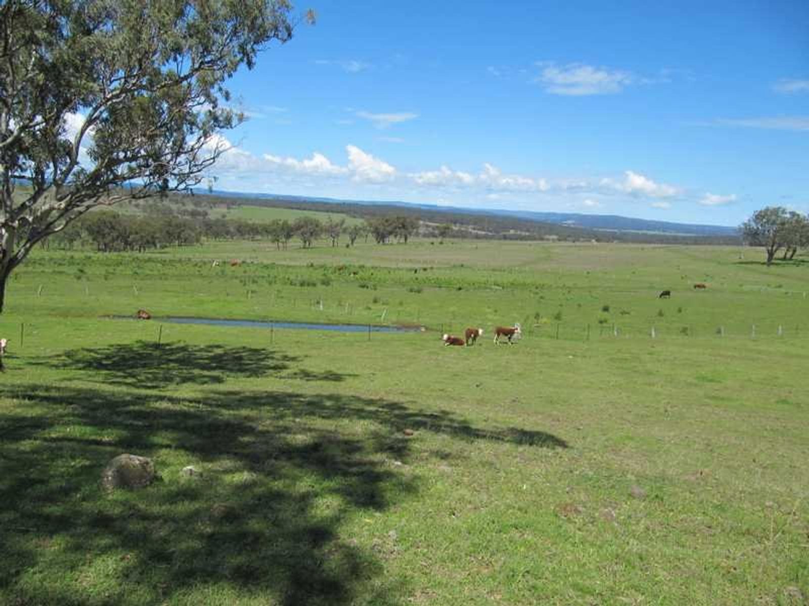 Warwick QLD 4370, Warwick - Thumbnail 8