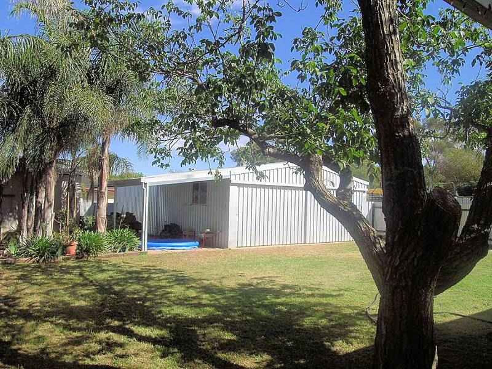 13 River Avenue, Merbein - Thumbnail 2