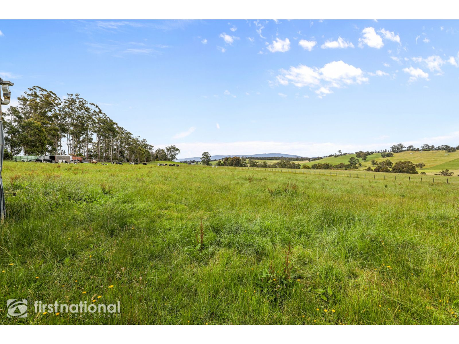 1968 Willow Grove Road, Willow Grove, VIC 3825, Willow Grove - Thumbnail 8