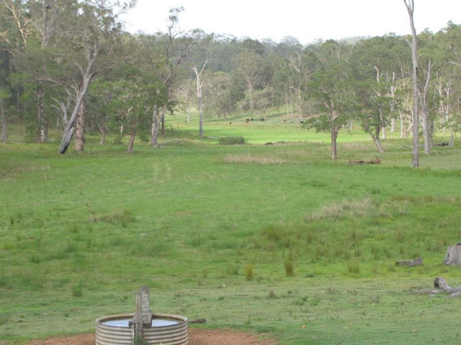 Dyraaba Rd NSW 2470, Dyraaba Rd - Thumbnail 6