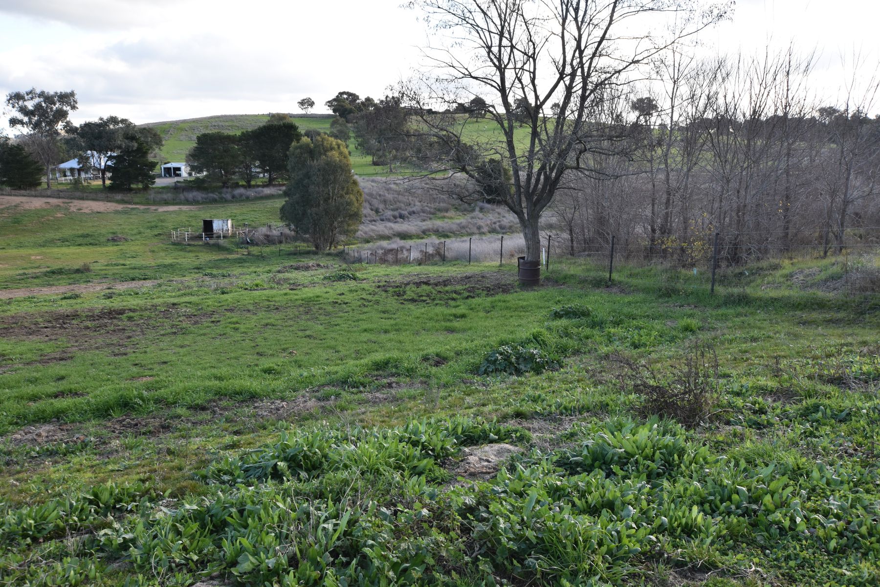 Lots 5 & 6 Renwick Street, Jugiong NSW 2726, Jugiong - Thumbnail 4