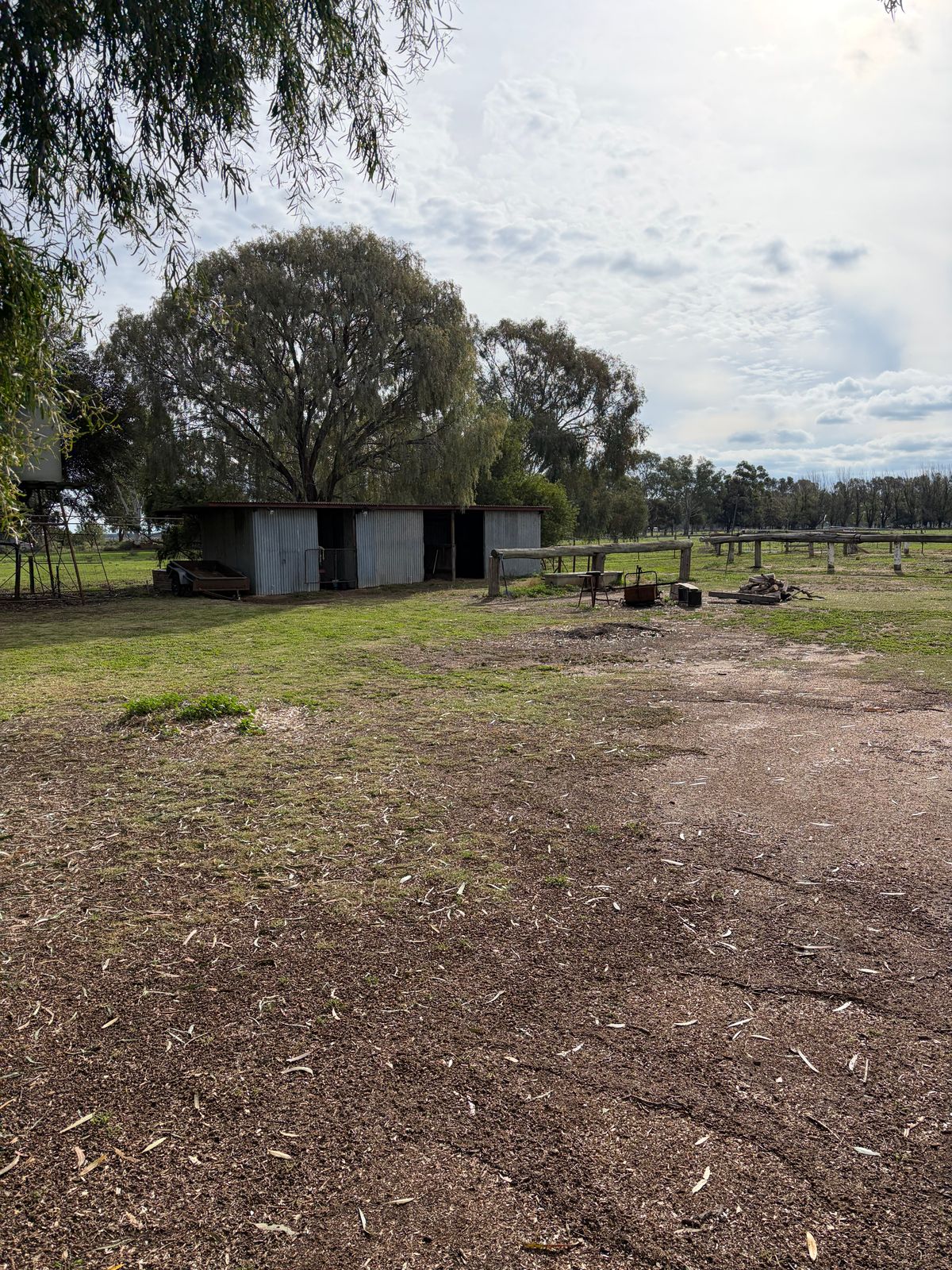 6230 Wakool Road, Wakool NSW 2710, Wakool - Thumbnail 2