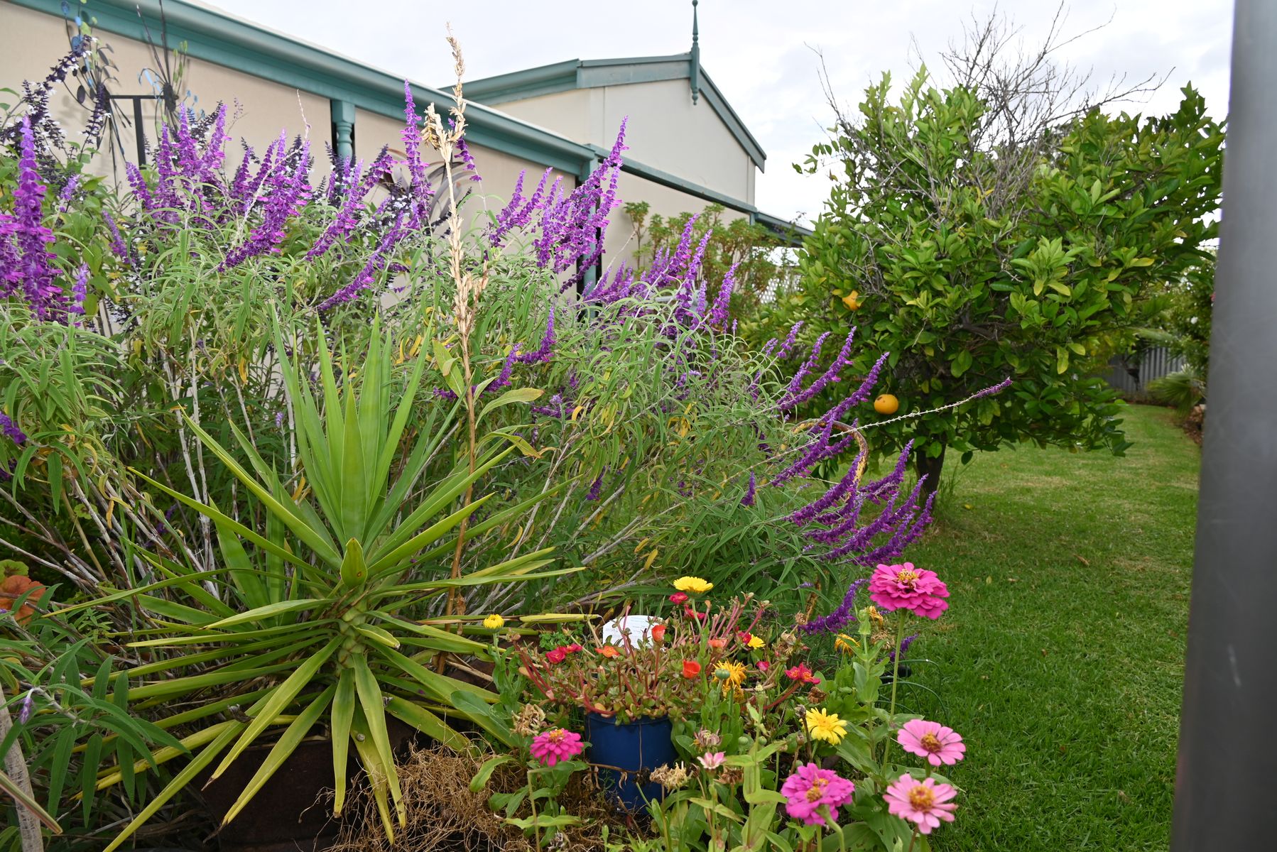 6 Gouge Street, Morgan SA 5320, Morgan - Thumbnail 8