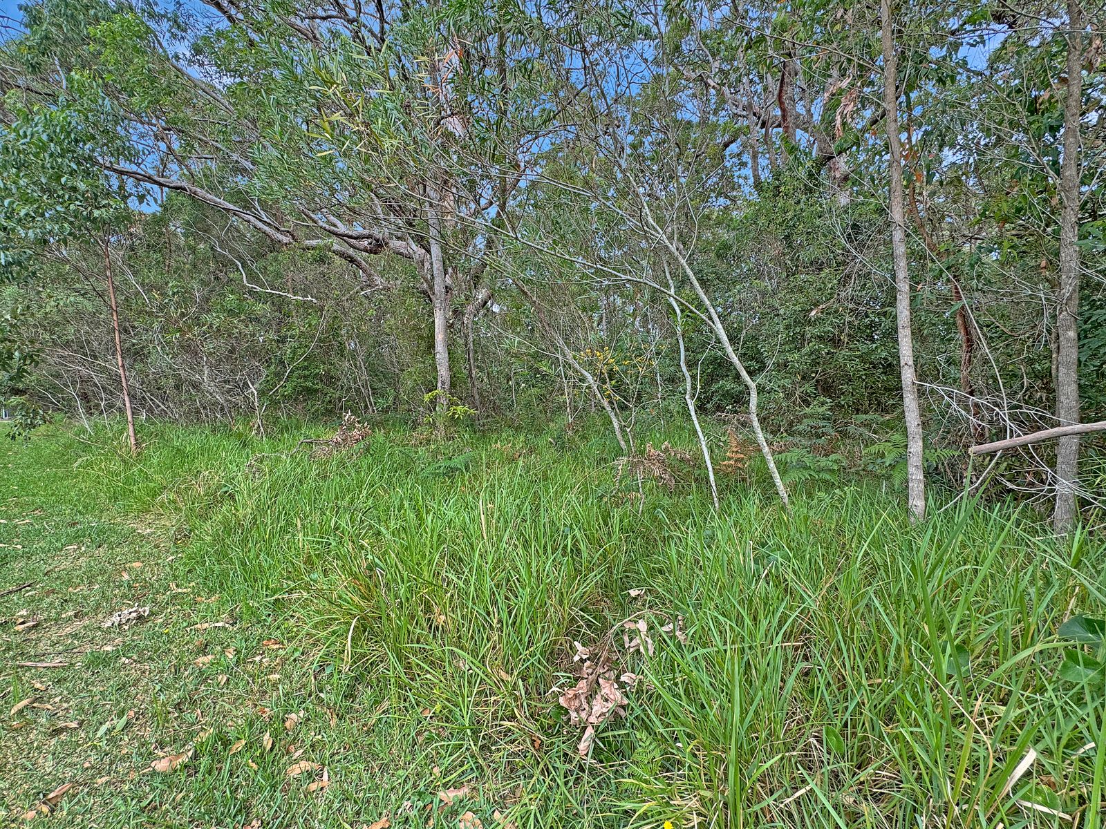 Lot 11 Lot 11 Lackersteen Street, Callala Bay NSW 2540, Callala Bay - Thumbnail 7