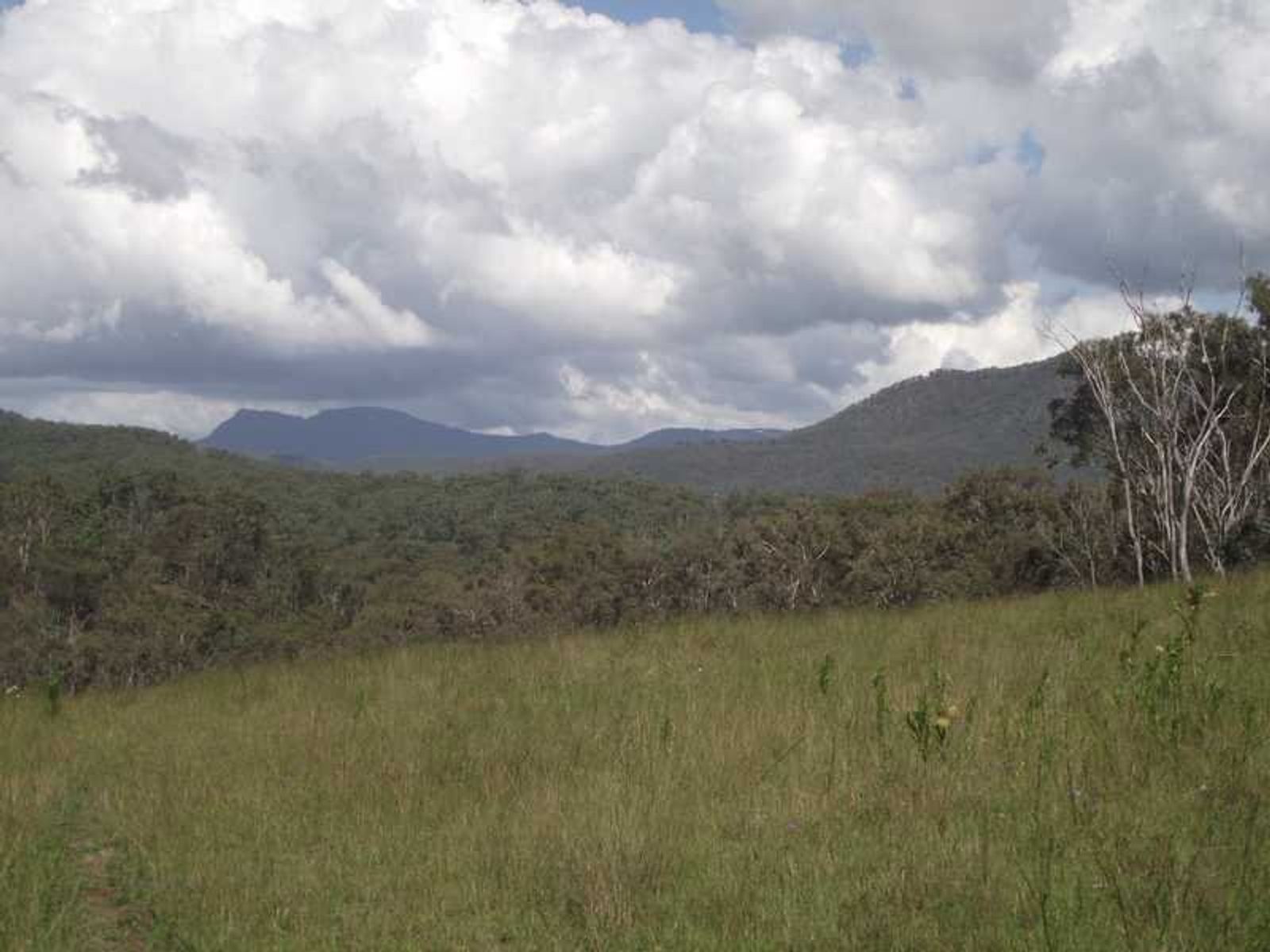 101 Mailmans Road, Warwick, QLD 4370, Warwick - Thumbnail 8