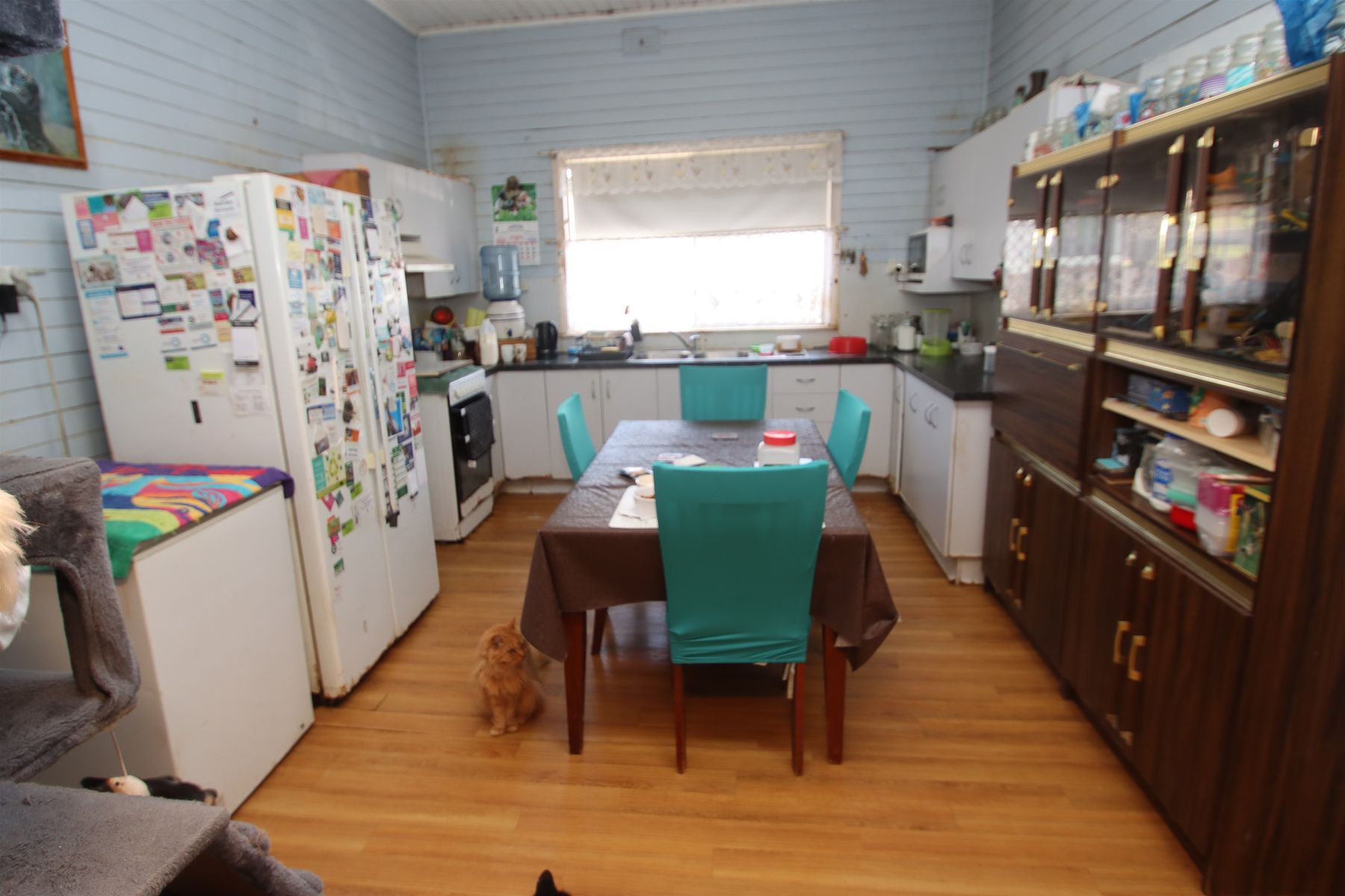 24 Molesworth Street, Tenterfield NSW 2372, Tenterfield - Thumbnail 5