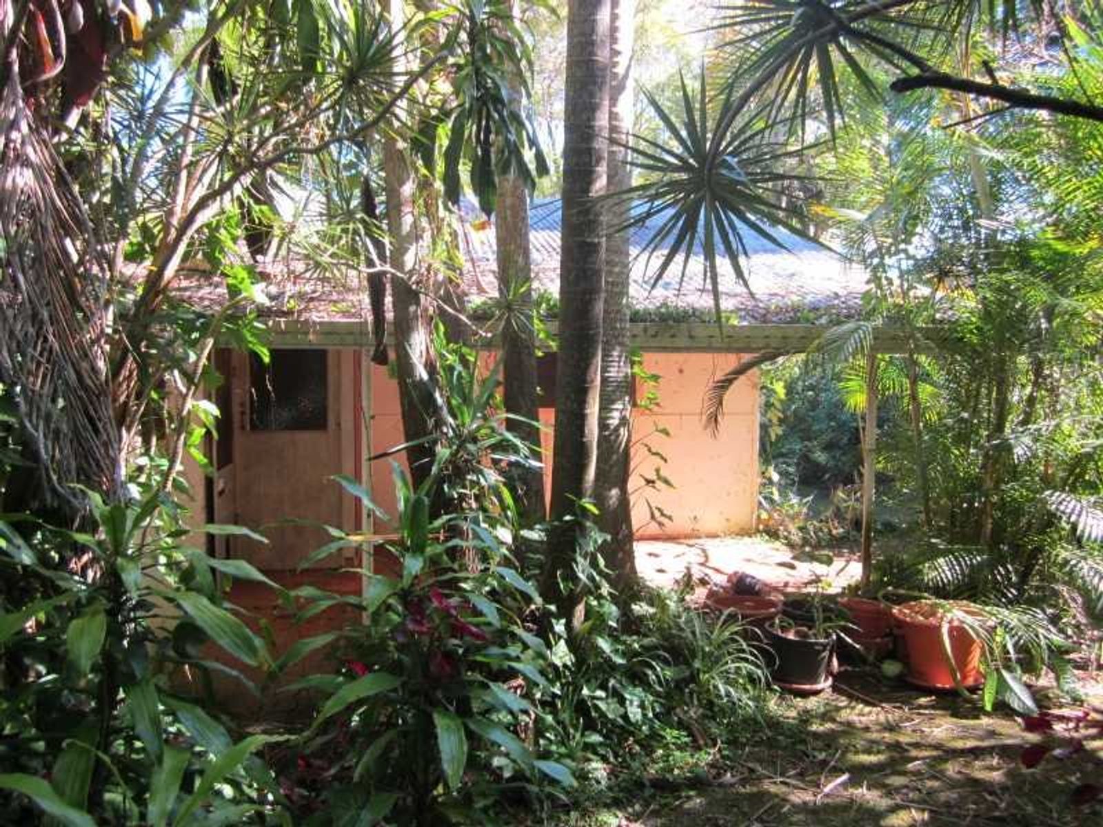 5 Thomas Street, Bangalow - Thumbnail 7