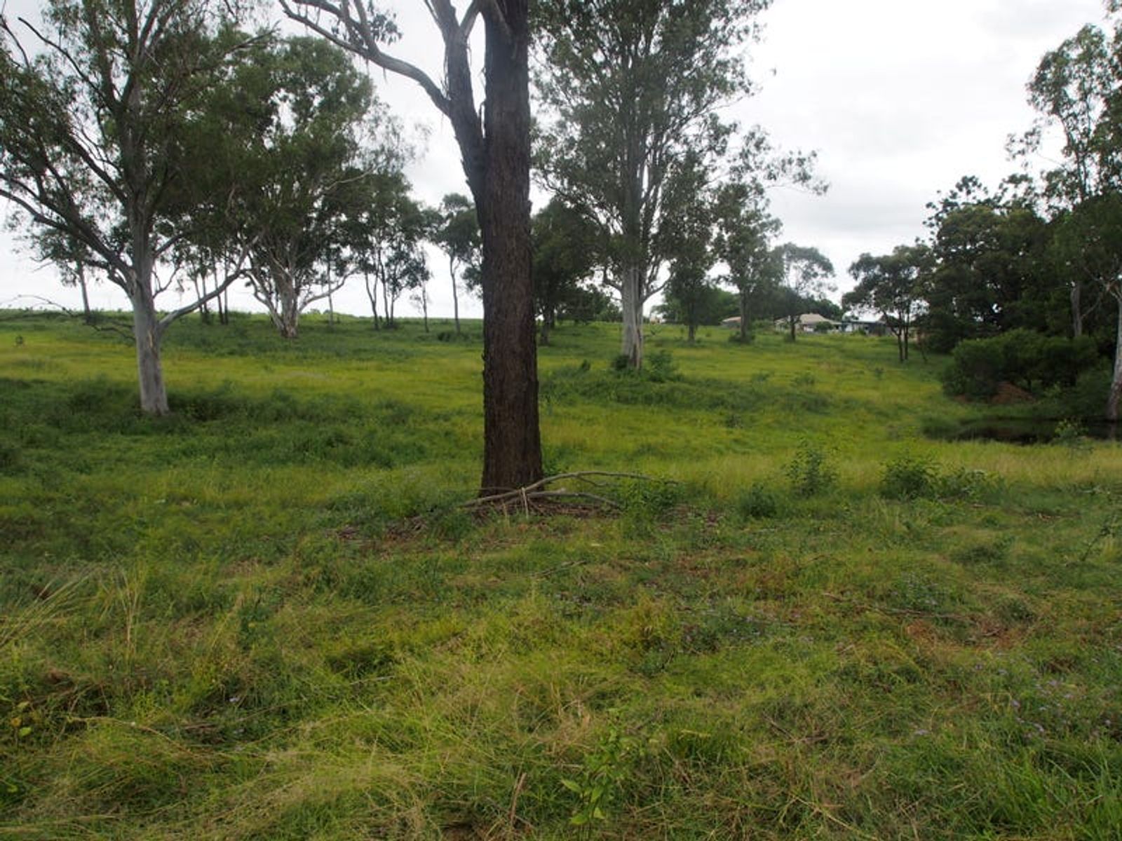 Lot 11&12 Nrn Cemetery Road, Cordalba QLD 4660, Cordalba - Thumbnail 3