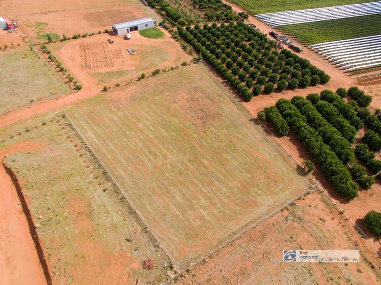 Lot 18 Moontongue Drive, Gol Gol - Thumbnail 7