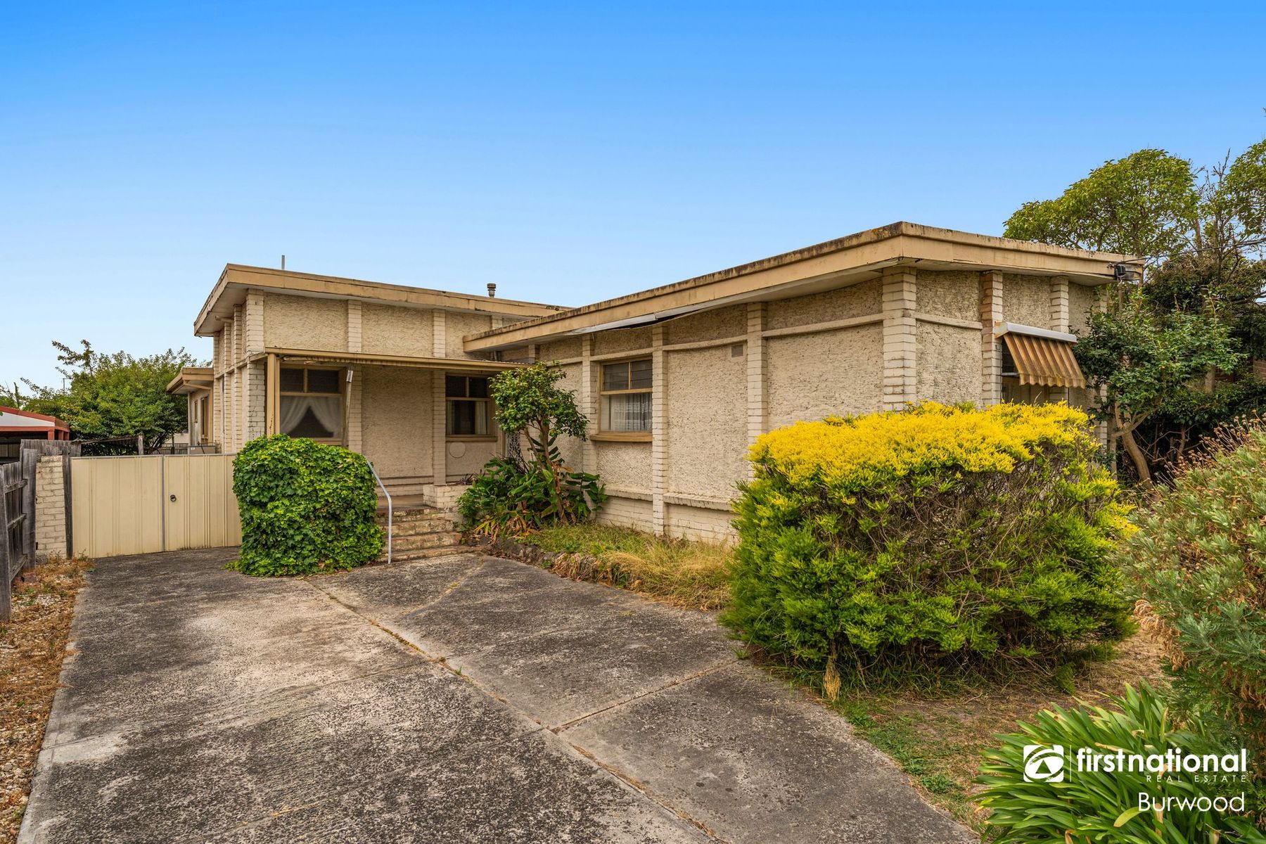 26 Finch Street, Burwood VIC 3125, Burwood - Thumbnail 4