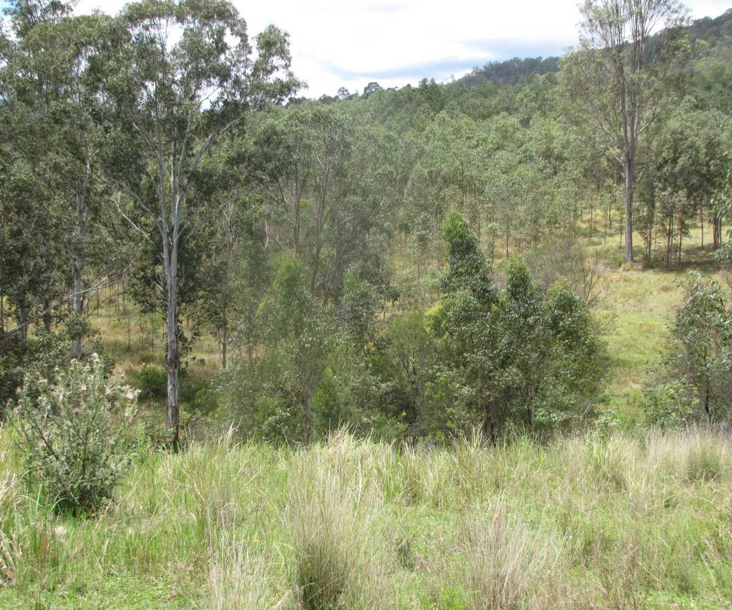 Hooten Via Paddys Flat Road, Tabulam - Thumbnail 4
