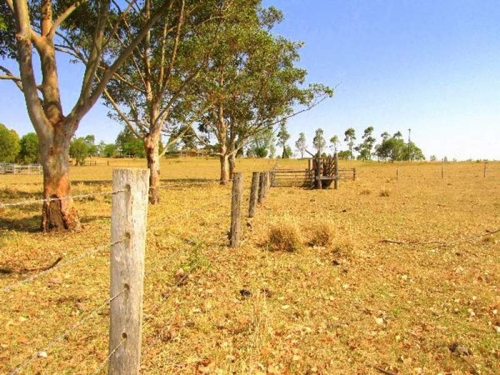 Fairy Hill NSW 2470, Fairy Hill - Thumbnail 7