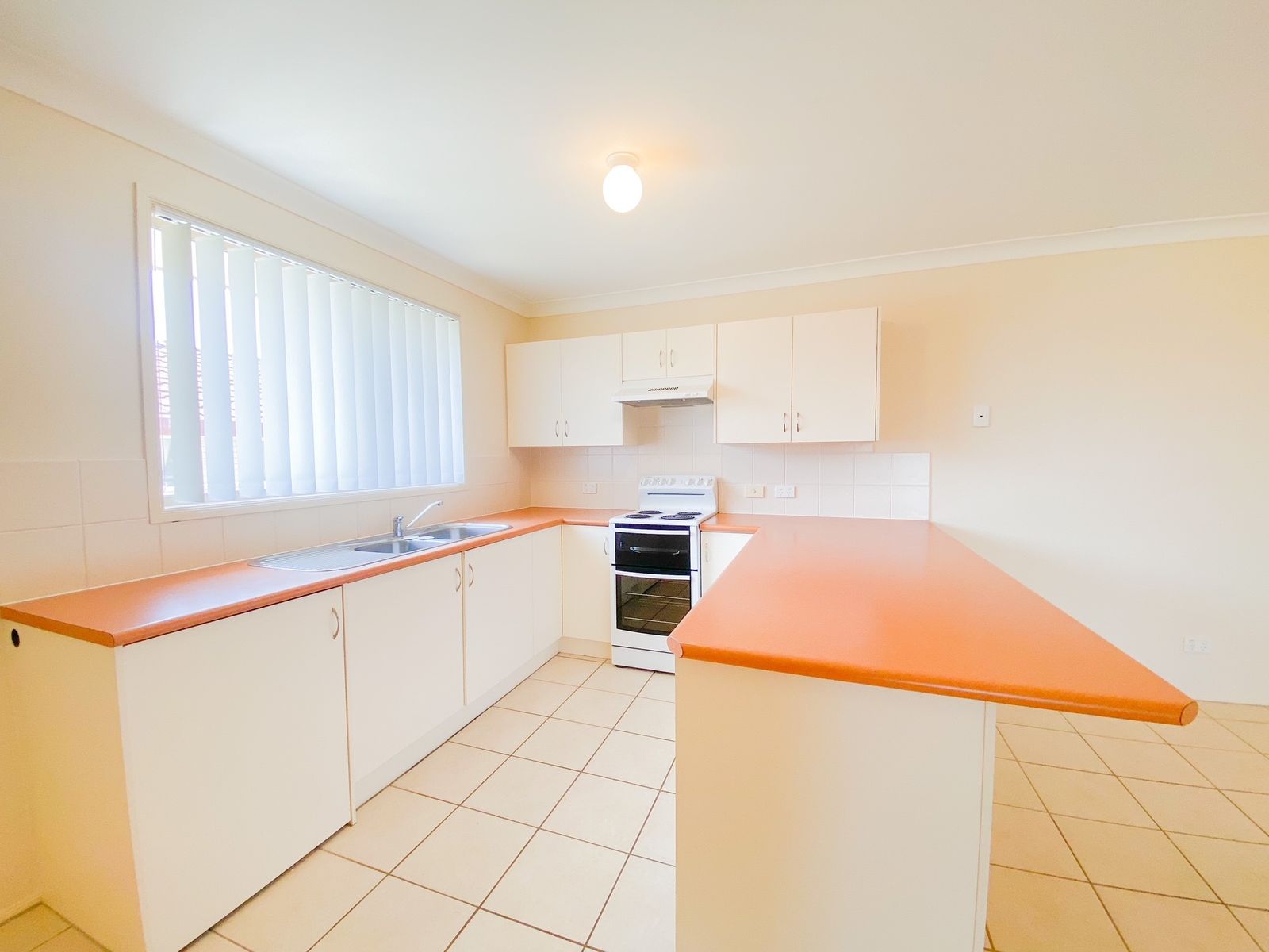 49 Benjamin Circle, Rutherford NSW 2320, Rutherford - Thumbnail 7