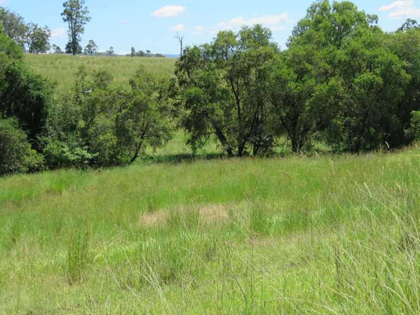 Lot 9 Lot 9 Plain Station Road, Tabulam - Thumbnail 5
