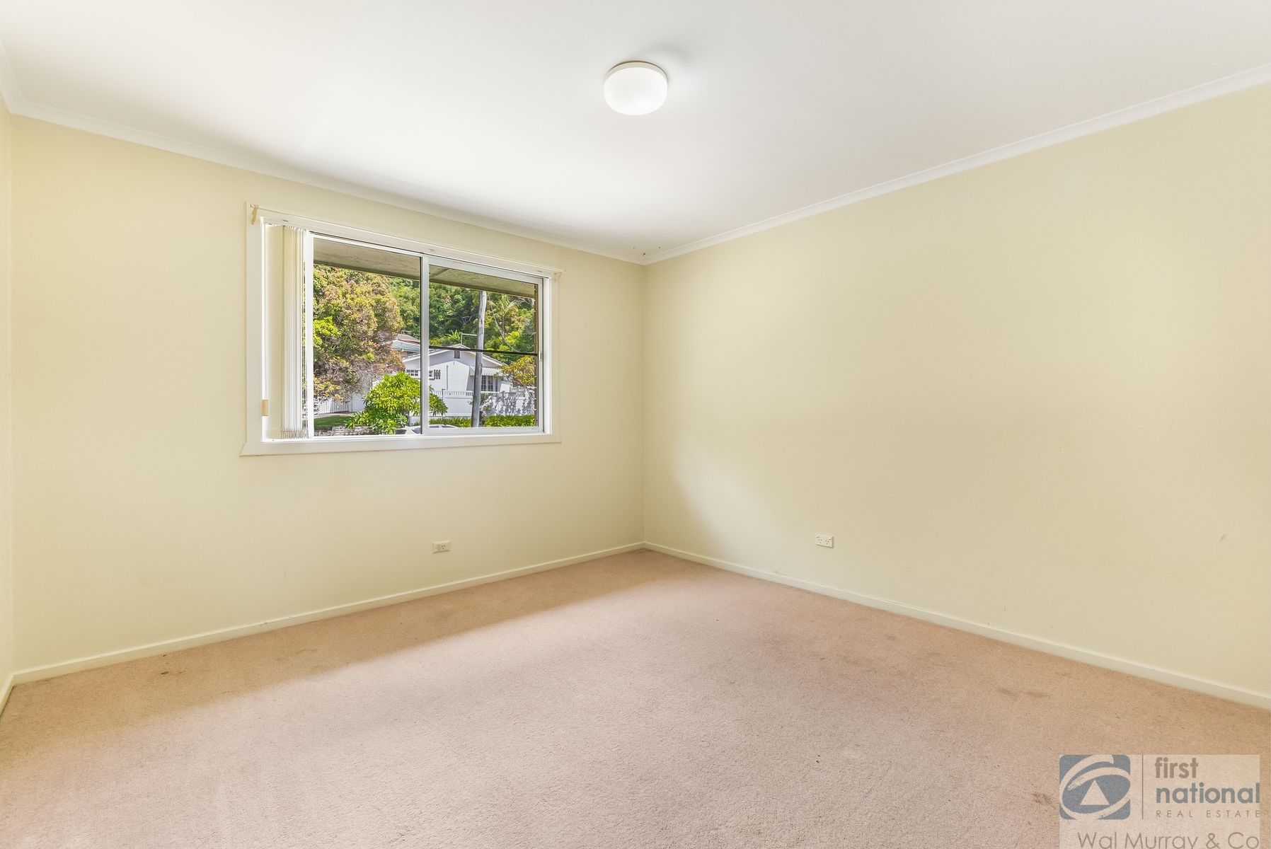11 Conte Street, East Lismore, NSW 2480, East Lismore - Thumbnail 5