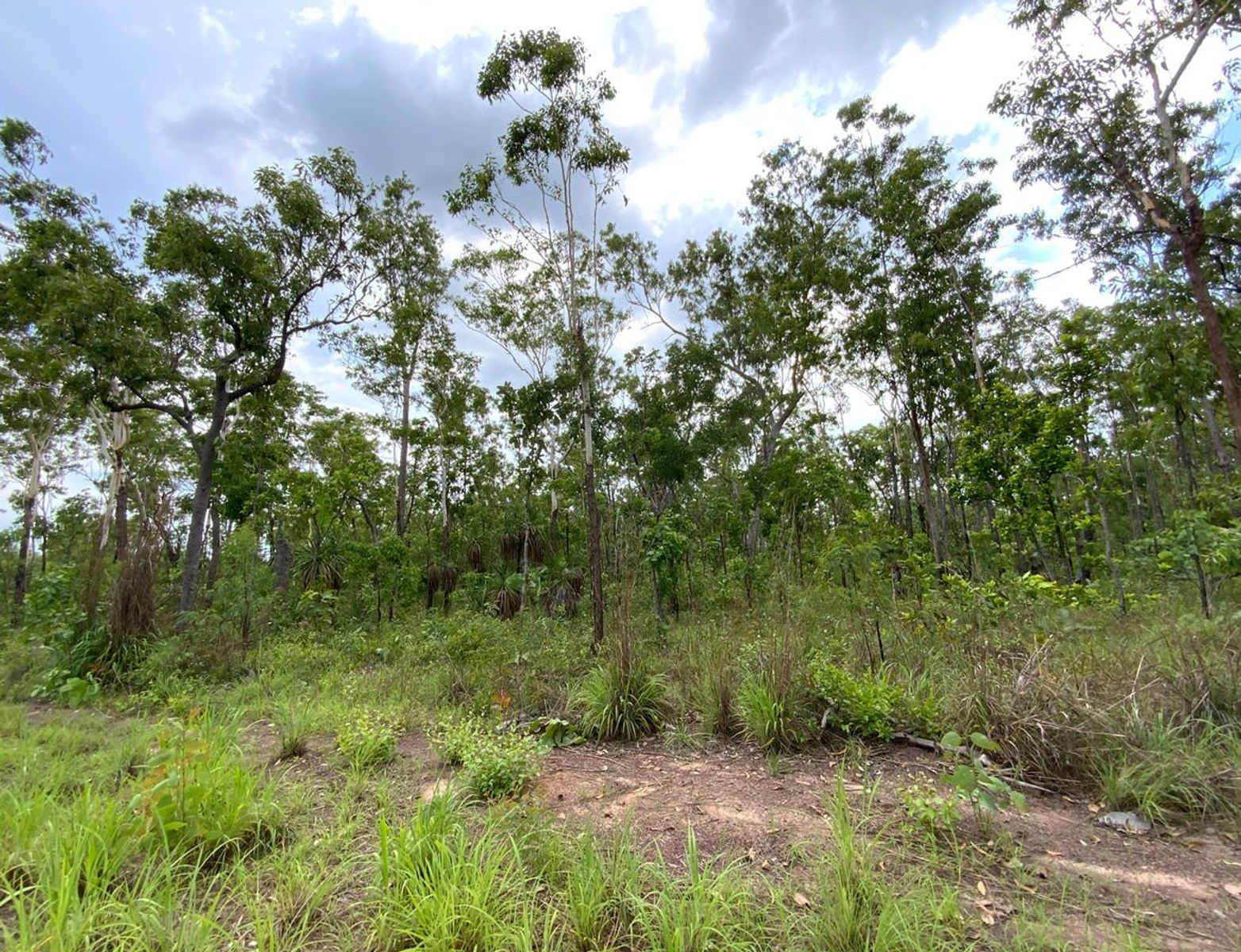 155 Produce Road, Humpty Doo, NT 0836, Humpty Doo - Thumbnail 4