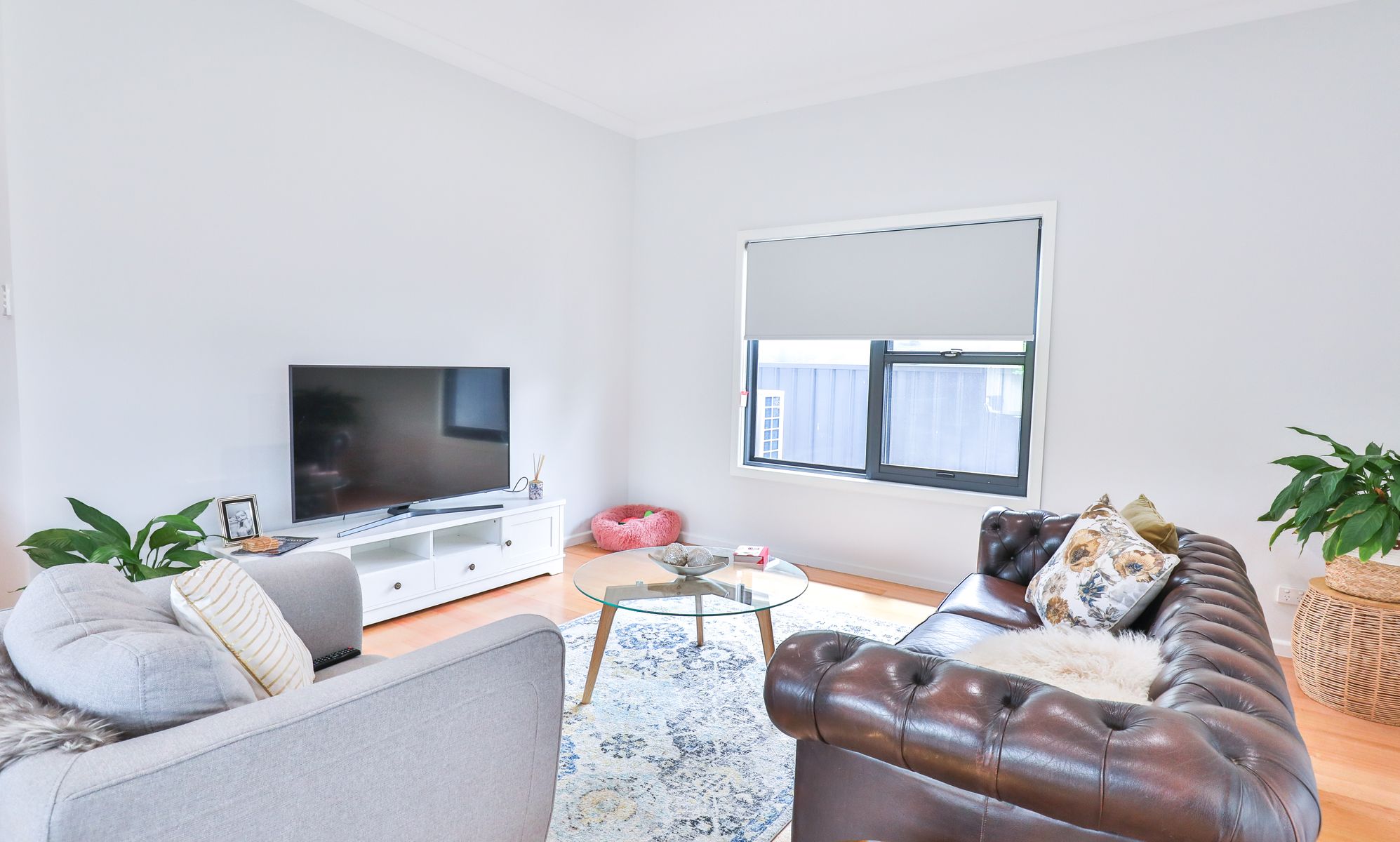 20 Argyle Street, Mildura - Thumbnail 4