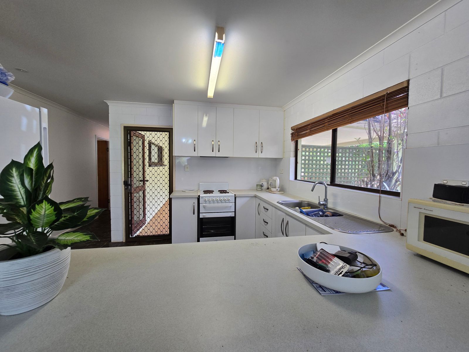 15 Twelfth Avenue, Atherton QLD 4883, Atherton - Thumbnail 3