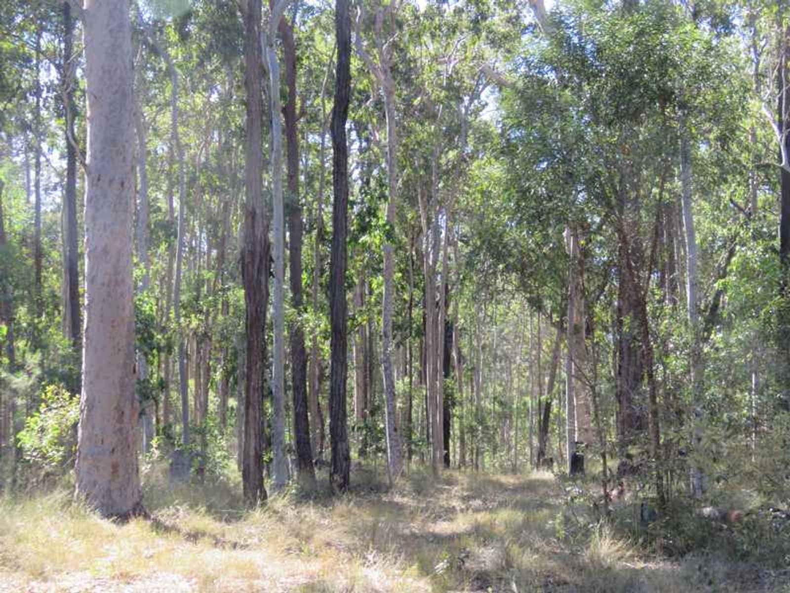 30 Hanna's Road, Gibberagee, NSW 2469, Gibberagee - Thumbnail 5