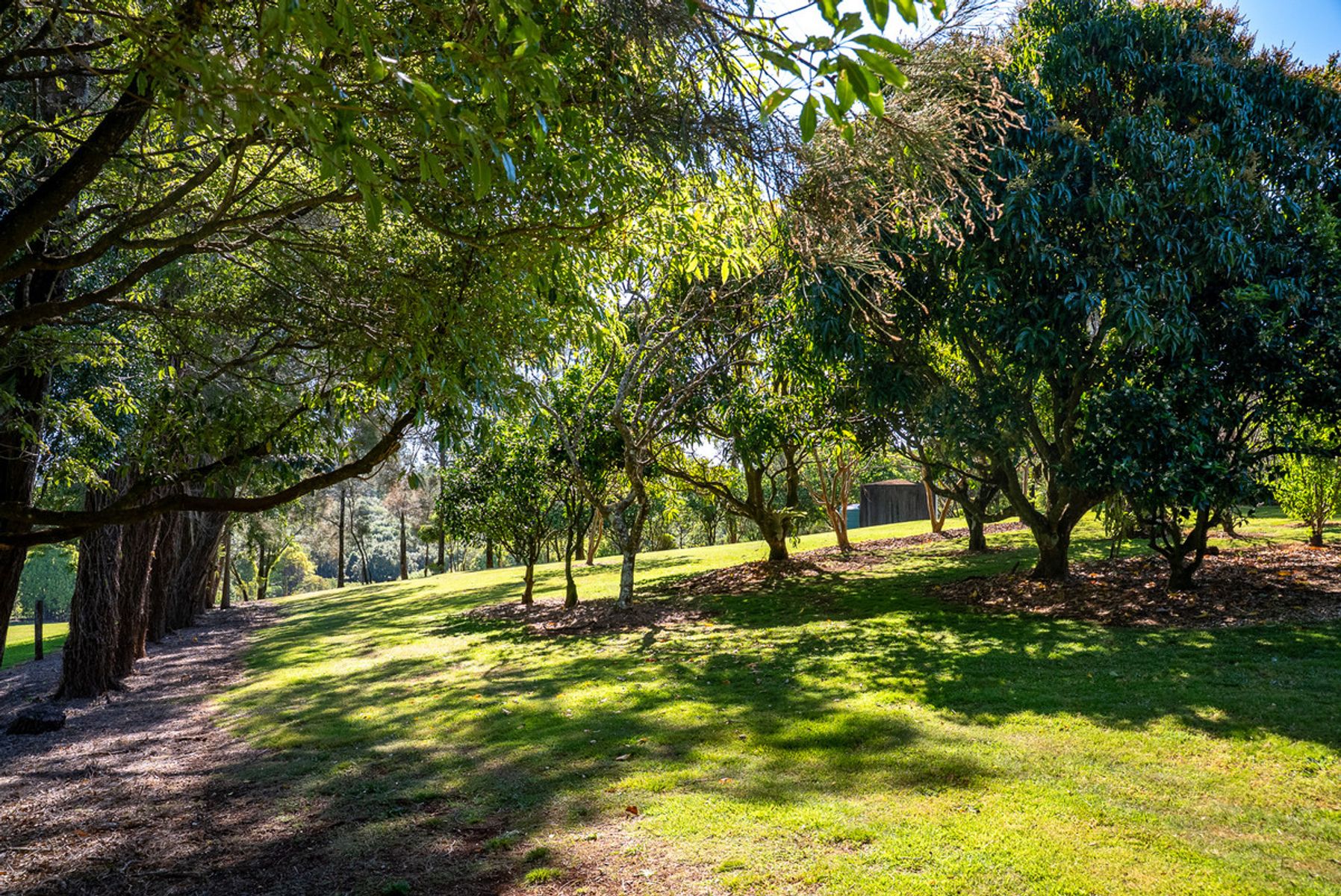 1161 Bruxner Highway, Goonellabah, NSW 2480, Goonellabah - Thumbnail 7