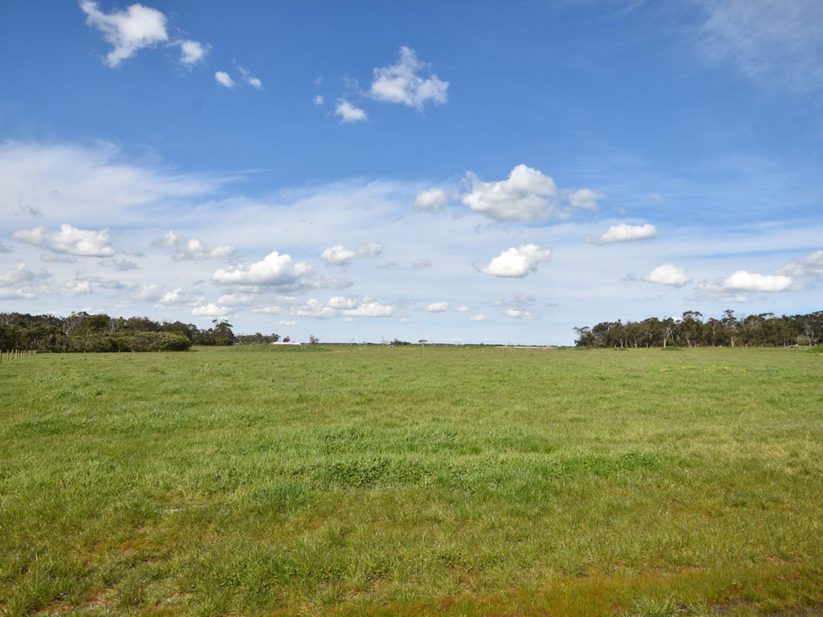 Lot 53 660 Lynnes Road, WATTLE BANK, Vacant Land for Sale First