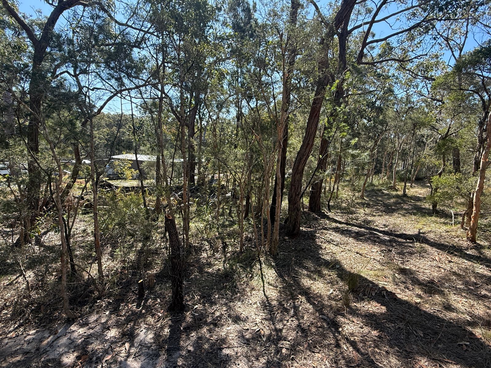 37 Cove Avenue, Bundabah NSW 2324, Bundabah - Thumbnail 5